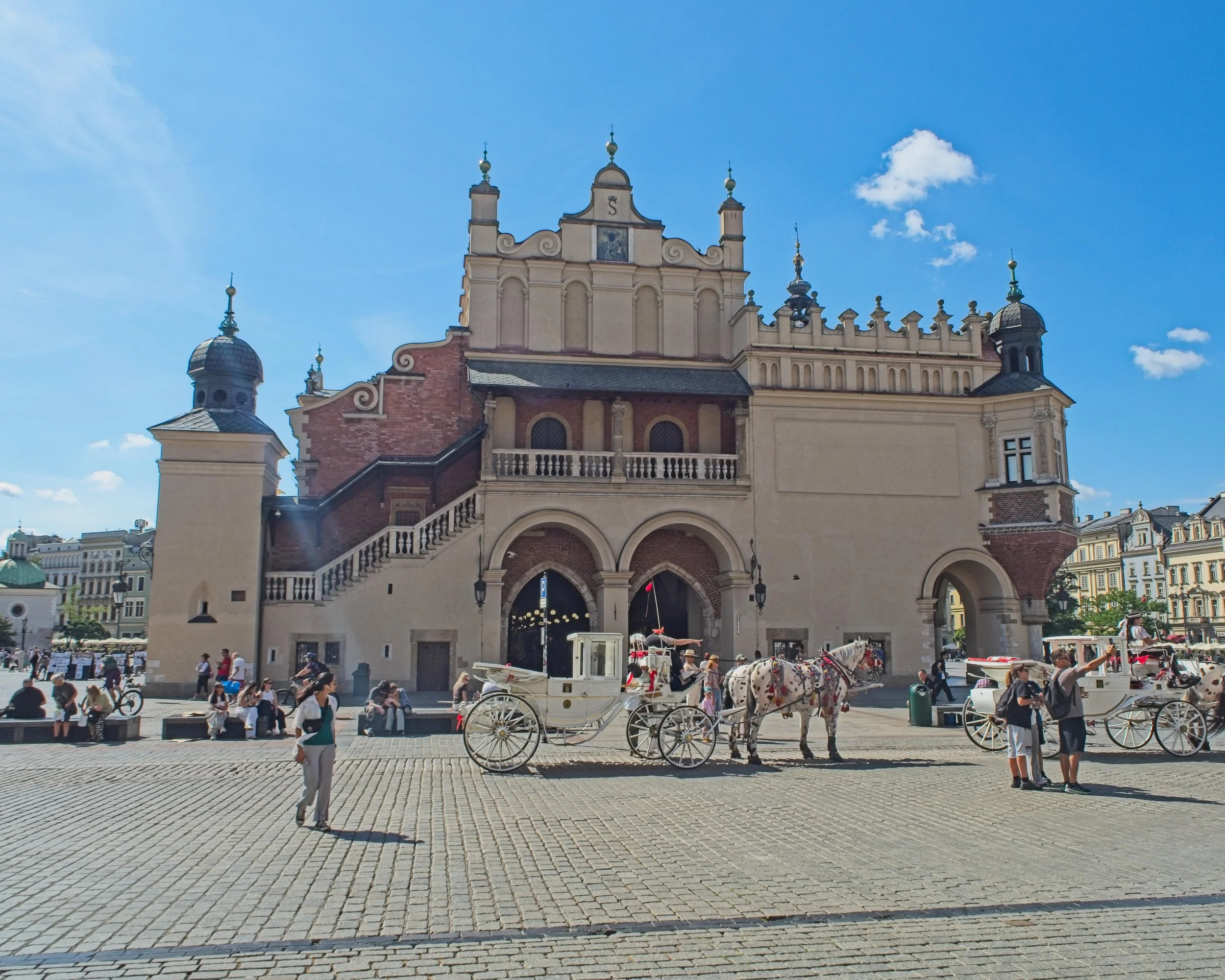 P9020134.jpg
