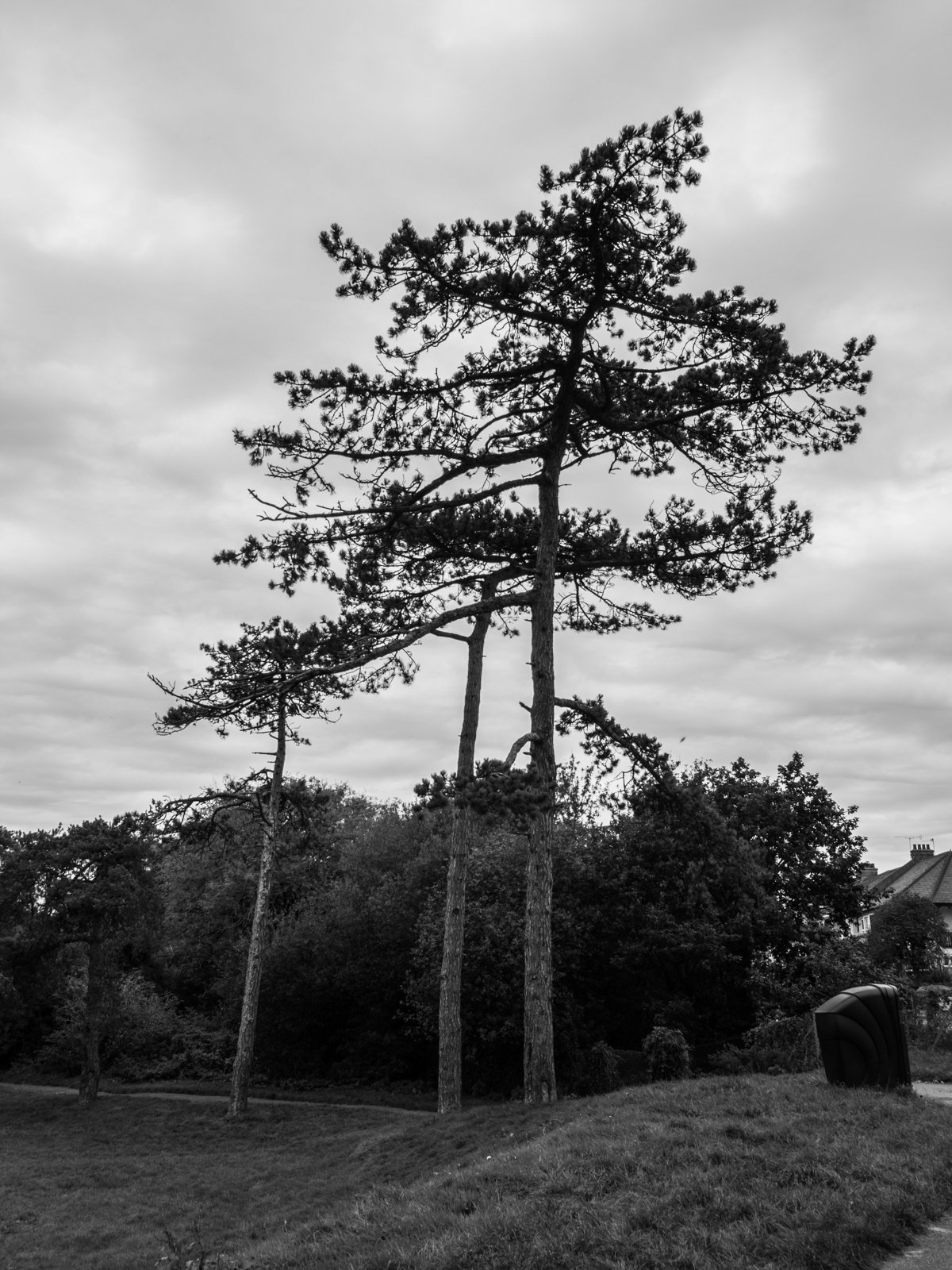 PA170145.jpg