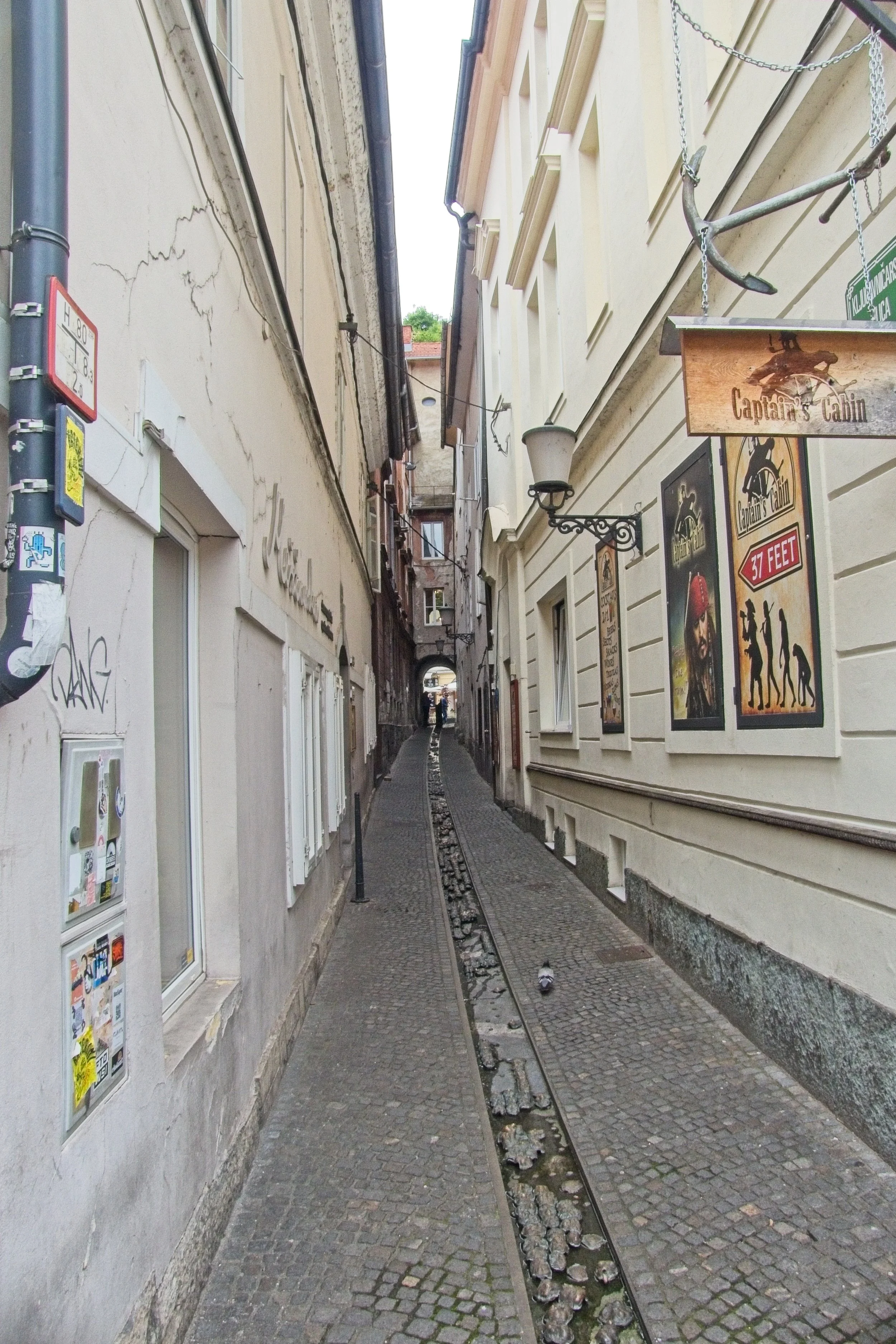 P1090928.jpg