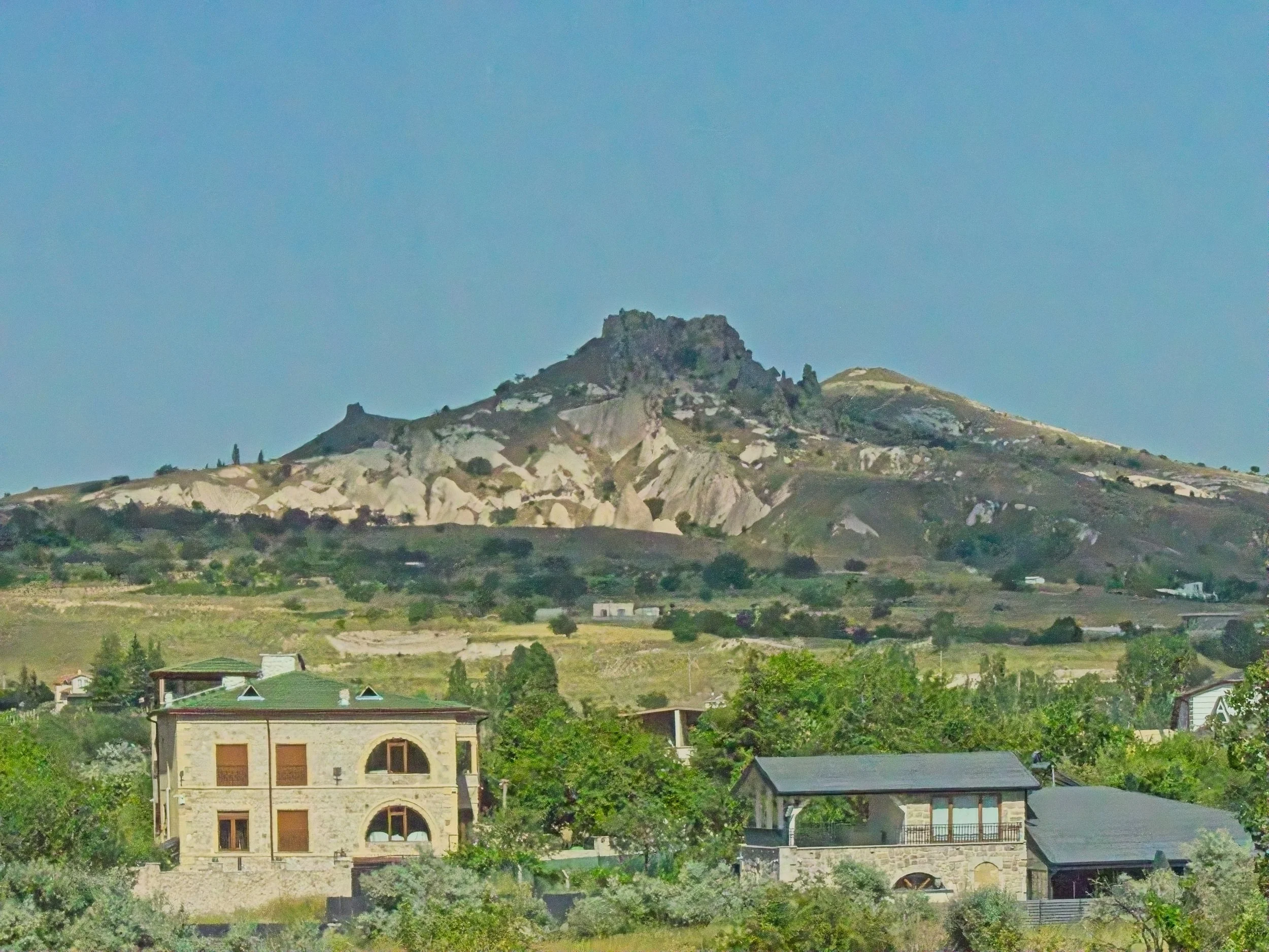 P1110283.jpg