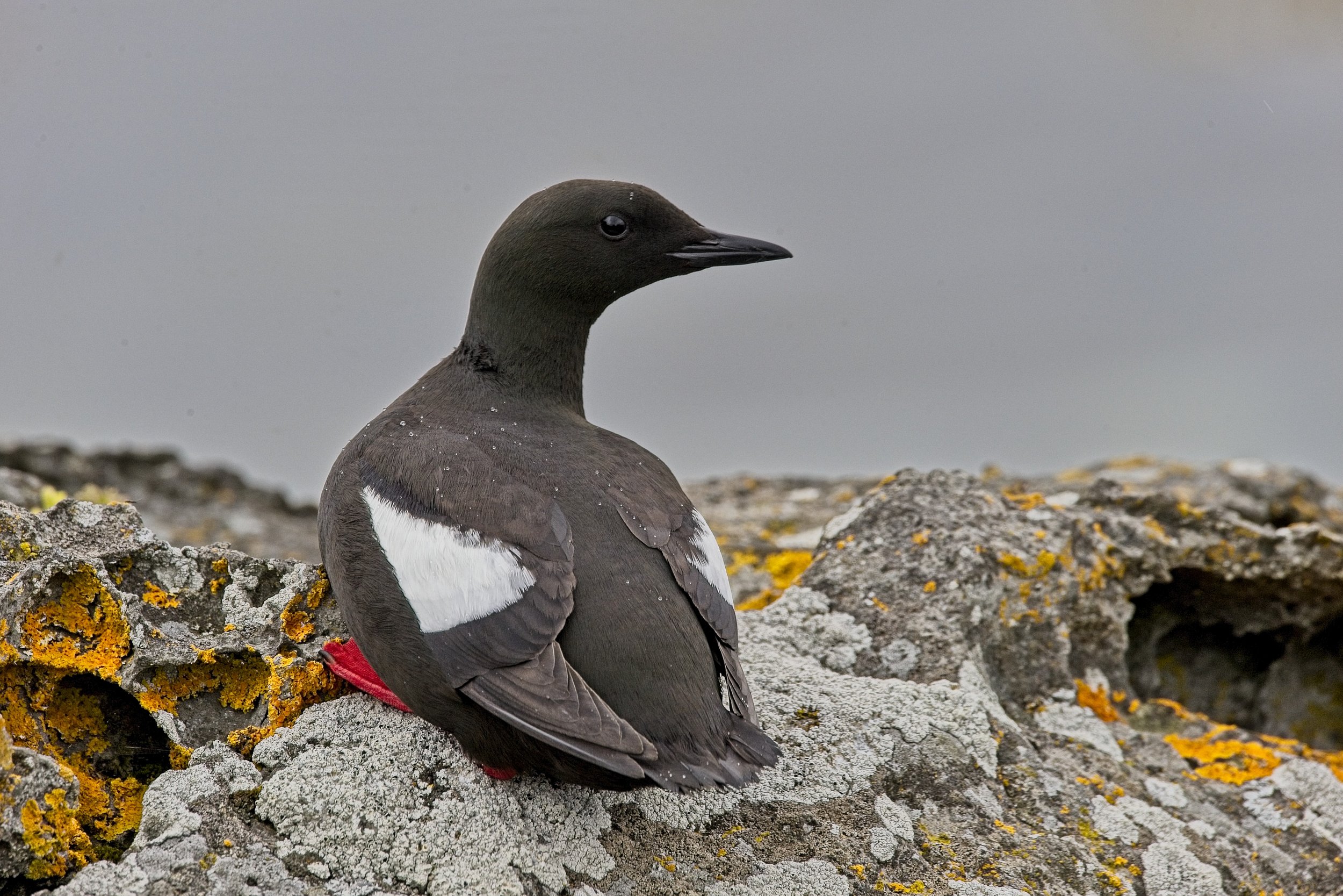 DSC_0002.jpg