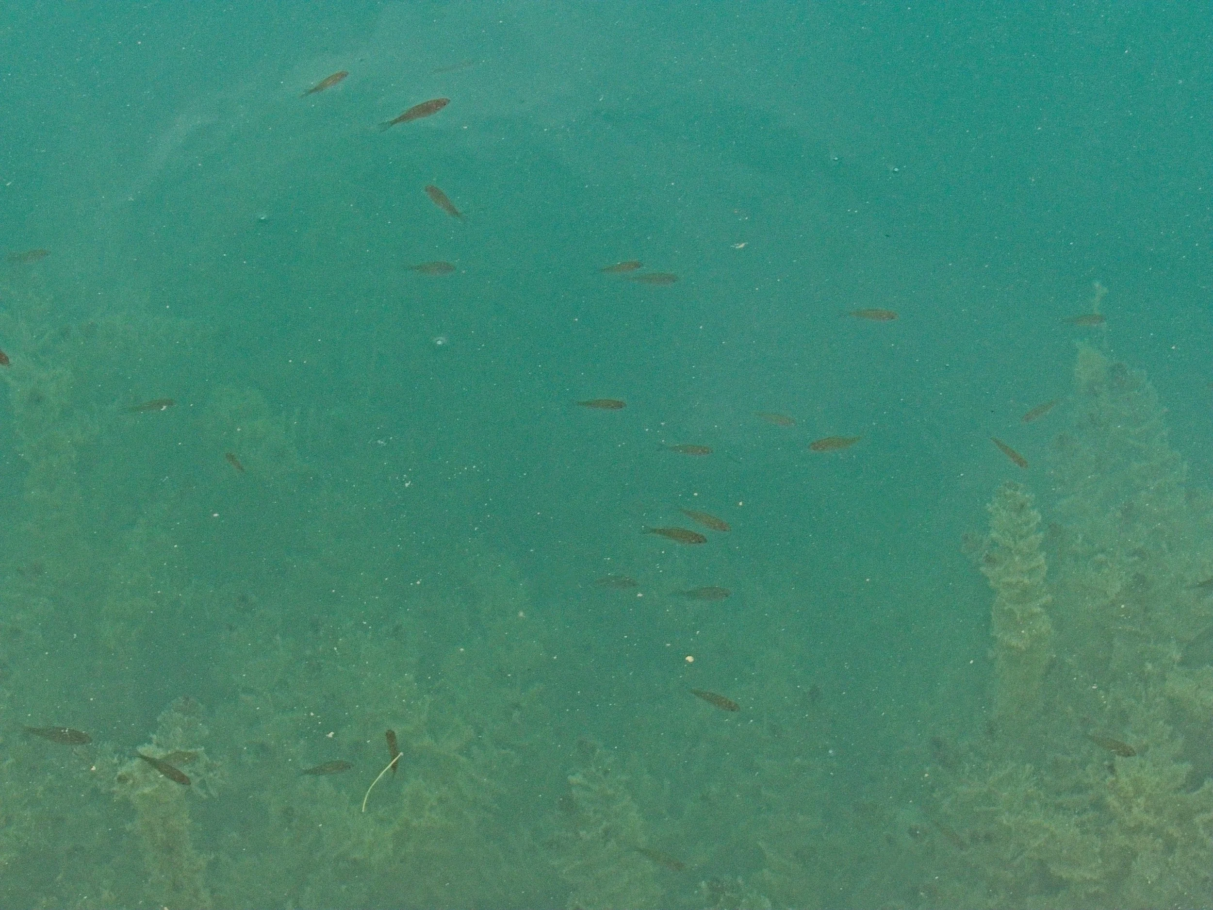 P1100346.jpg