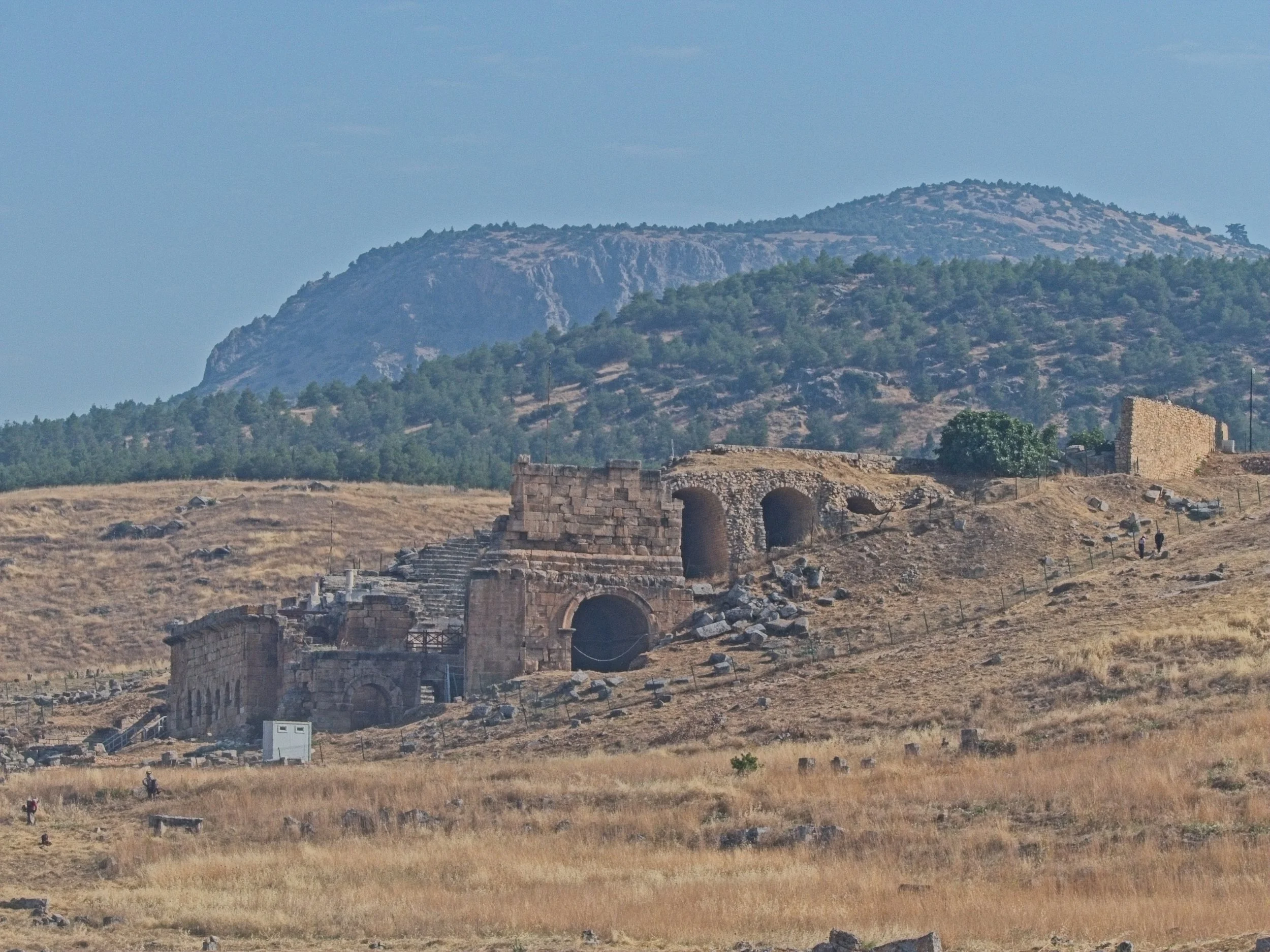 P1110094.jpg