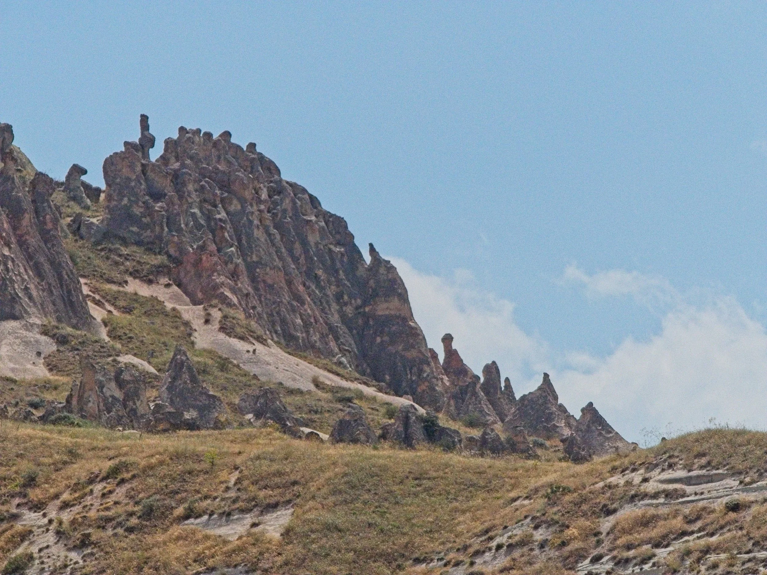P1110478.jpg
