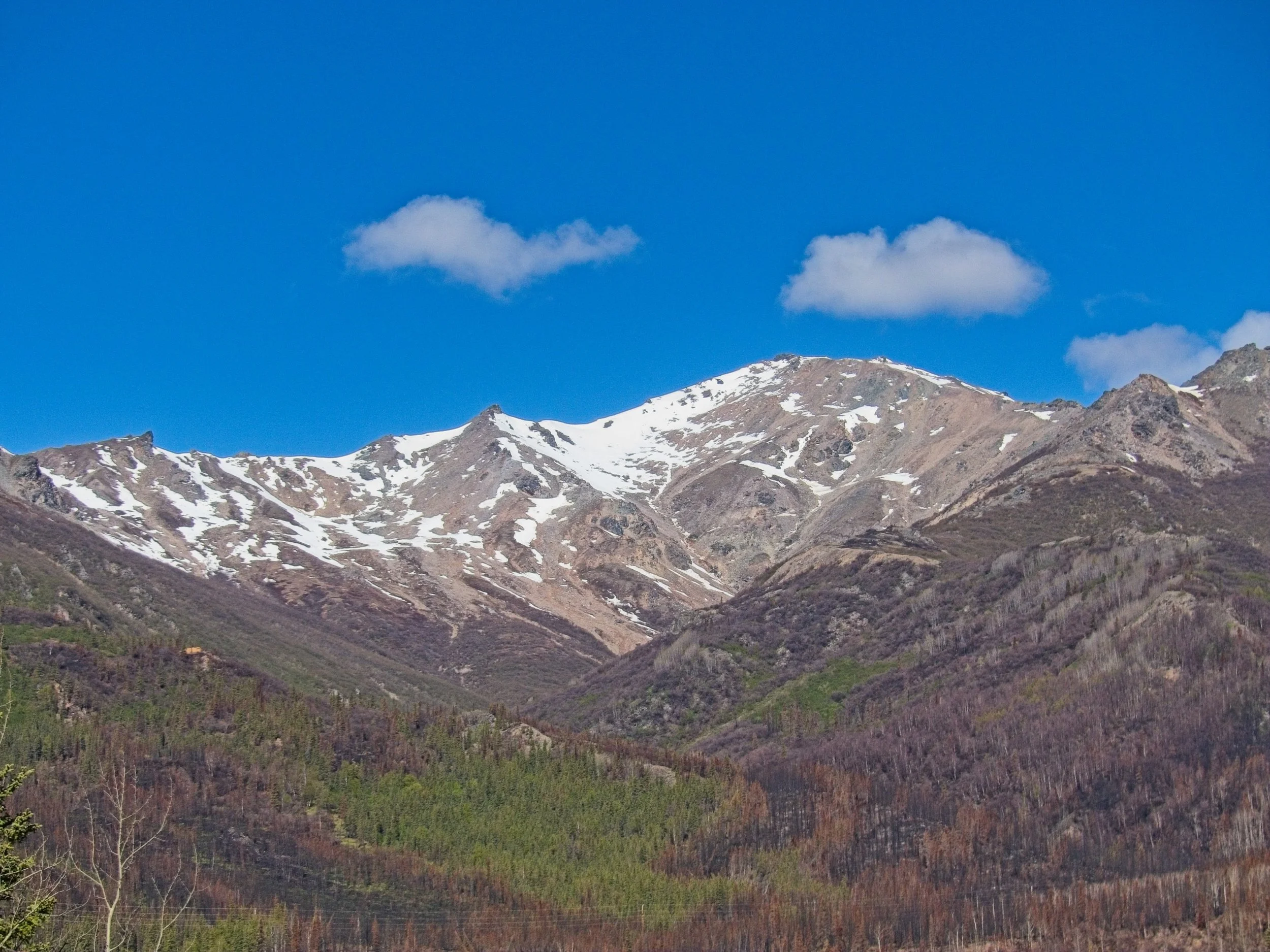 DENALI LODGE AREA