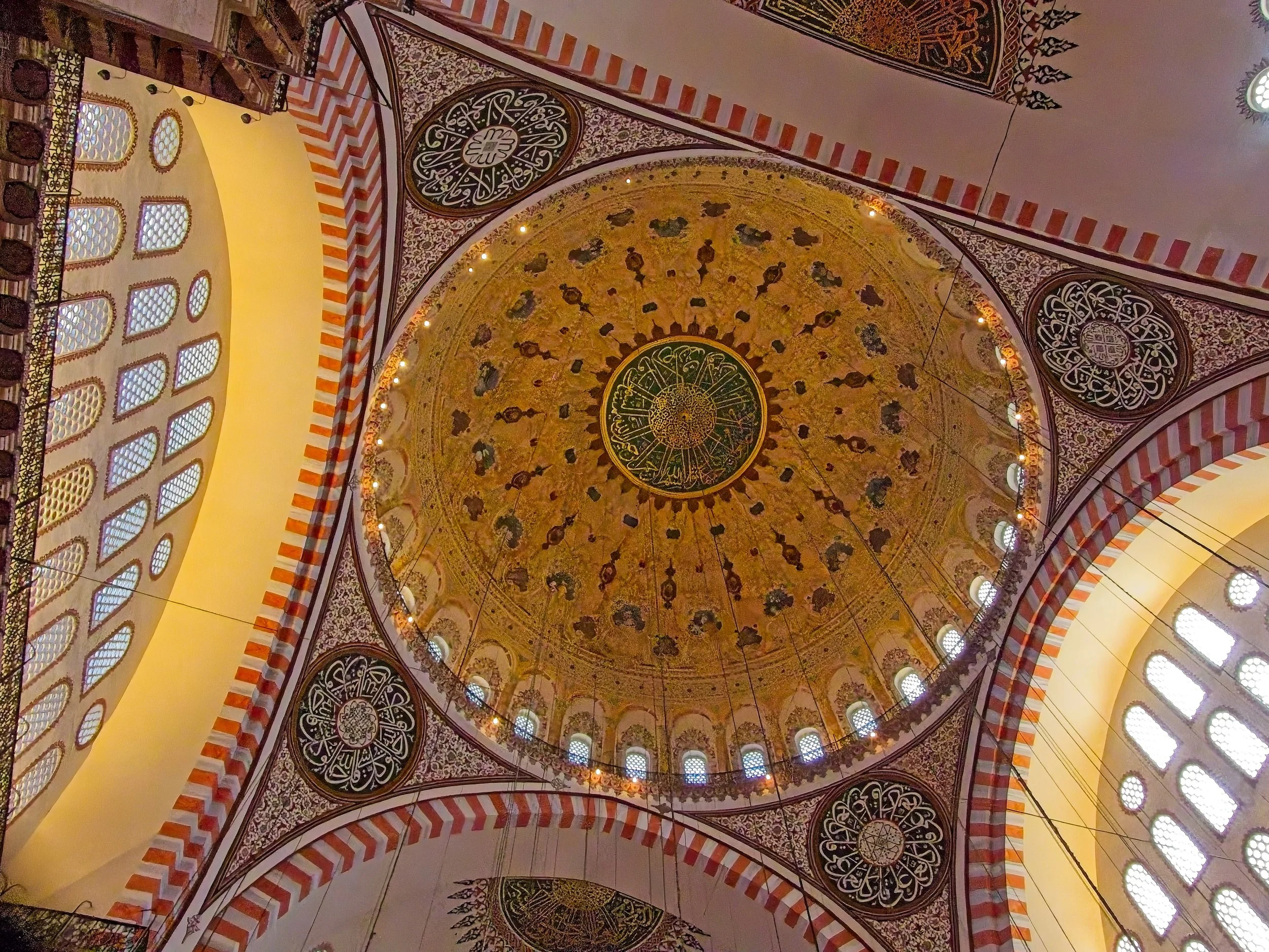 P1100592.jpg