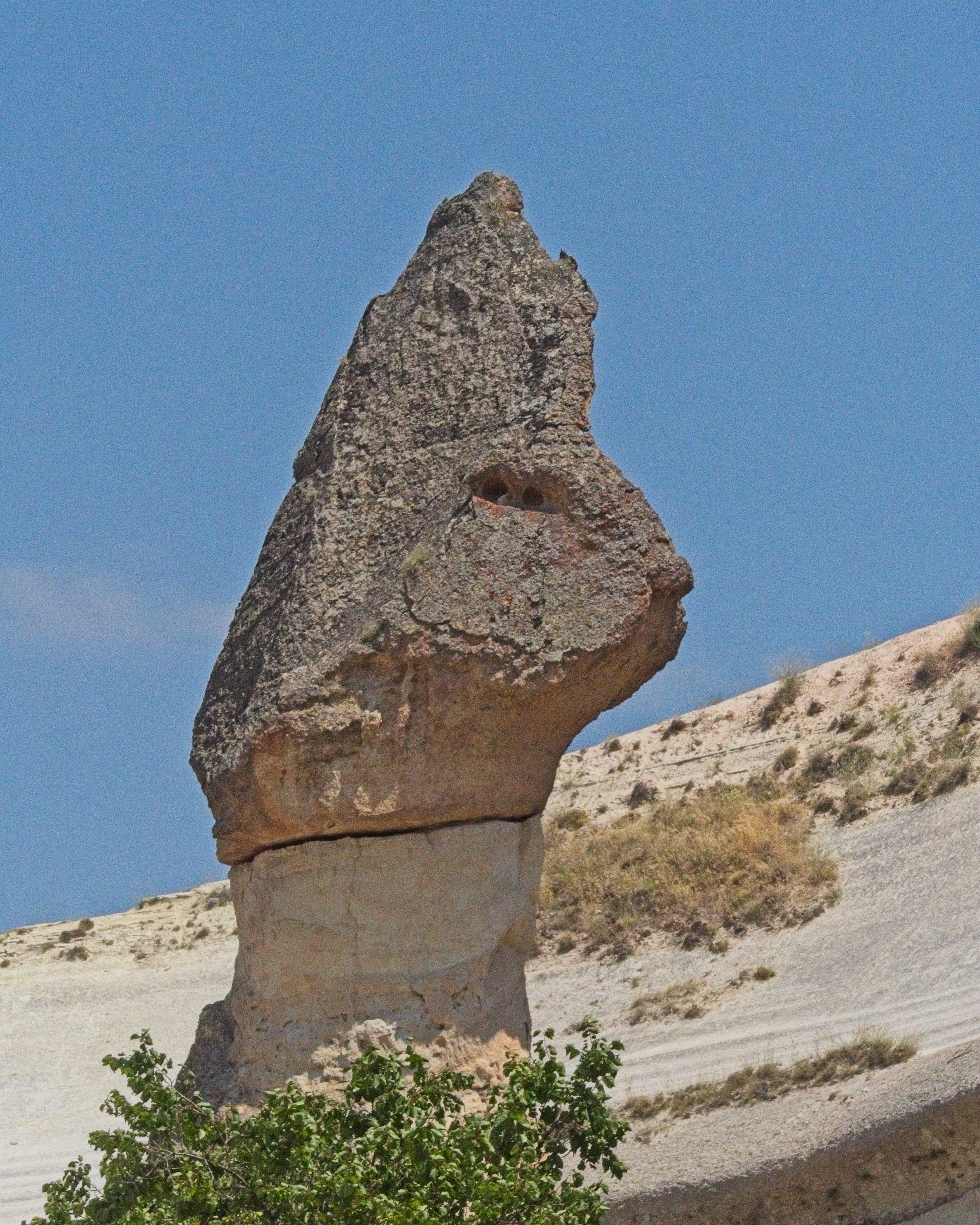 P1110474.jpg