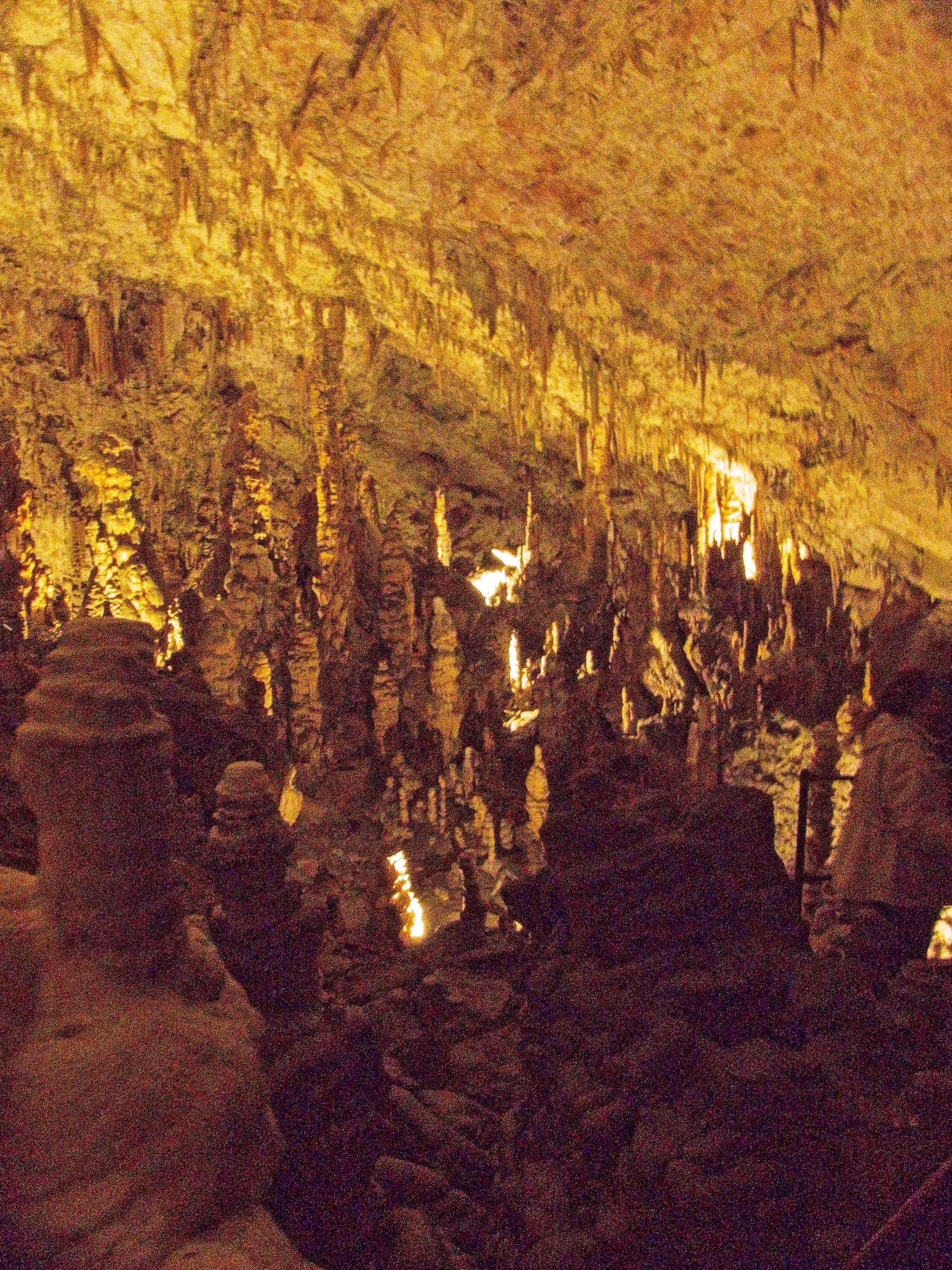P1100007.jpg