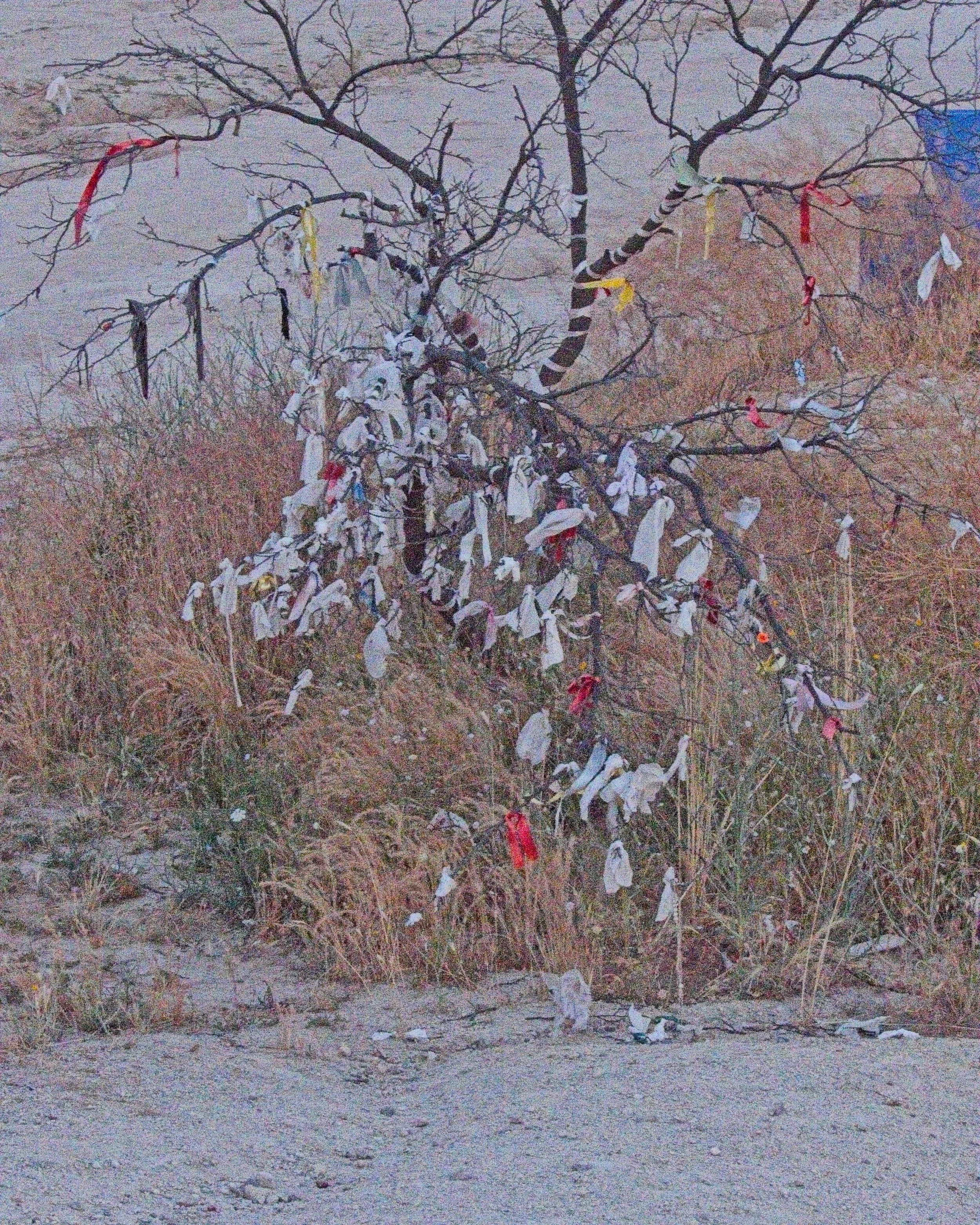 P1110344.jpg