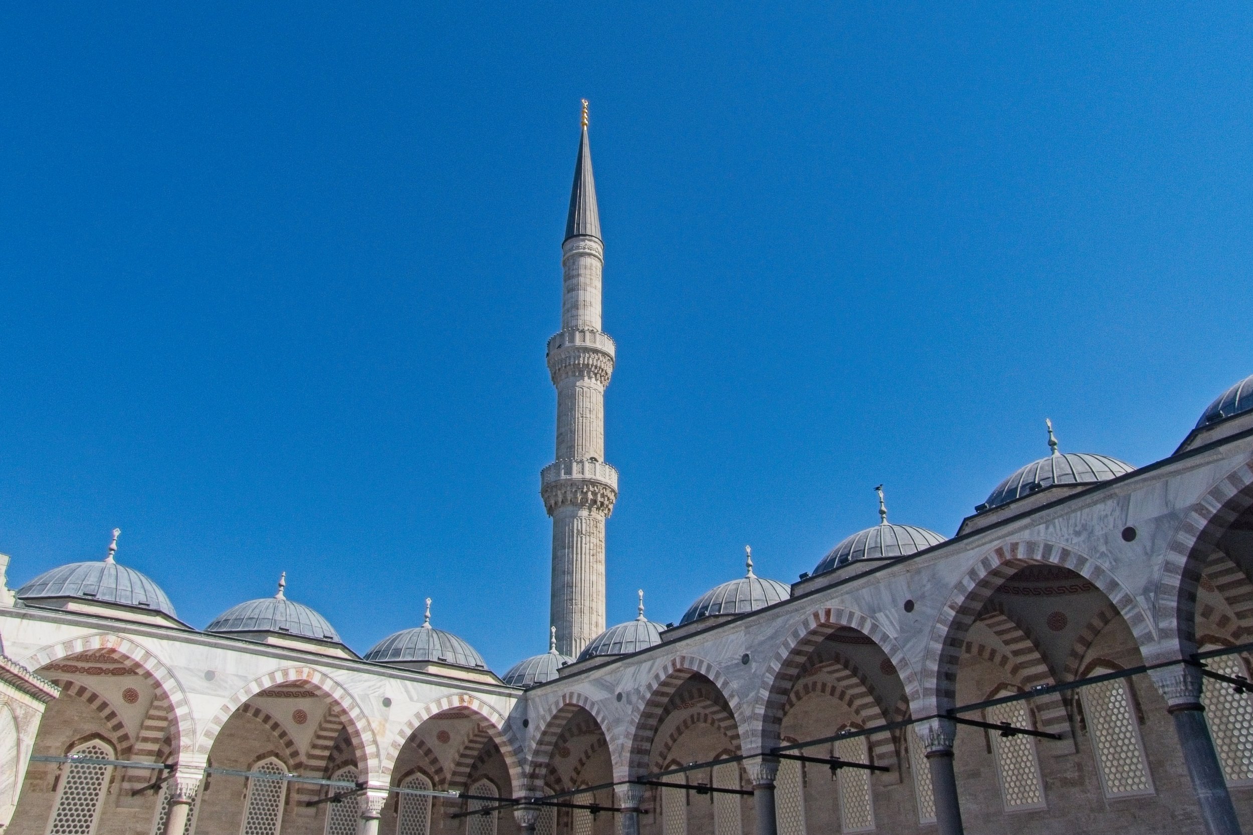 P1100491.jpg