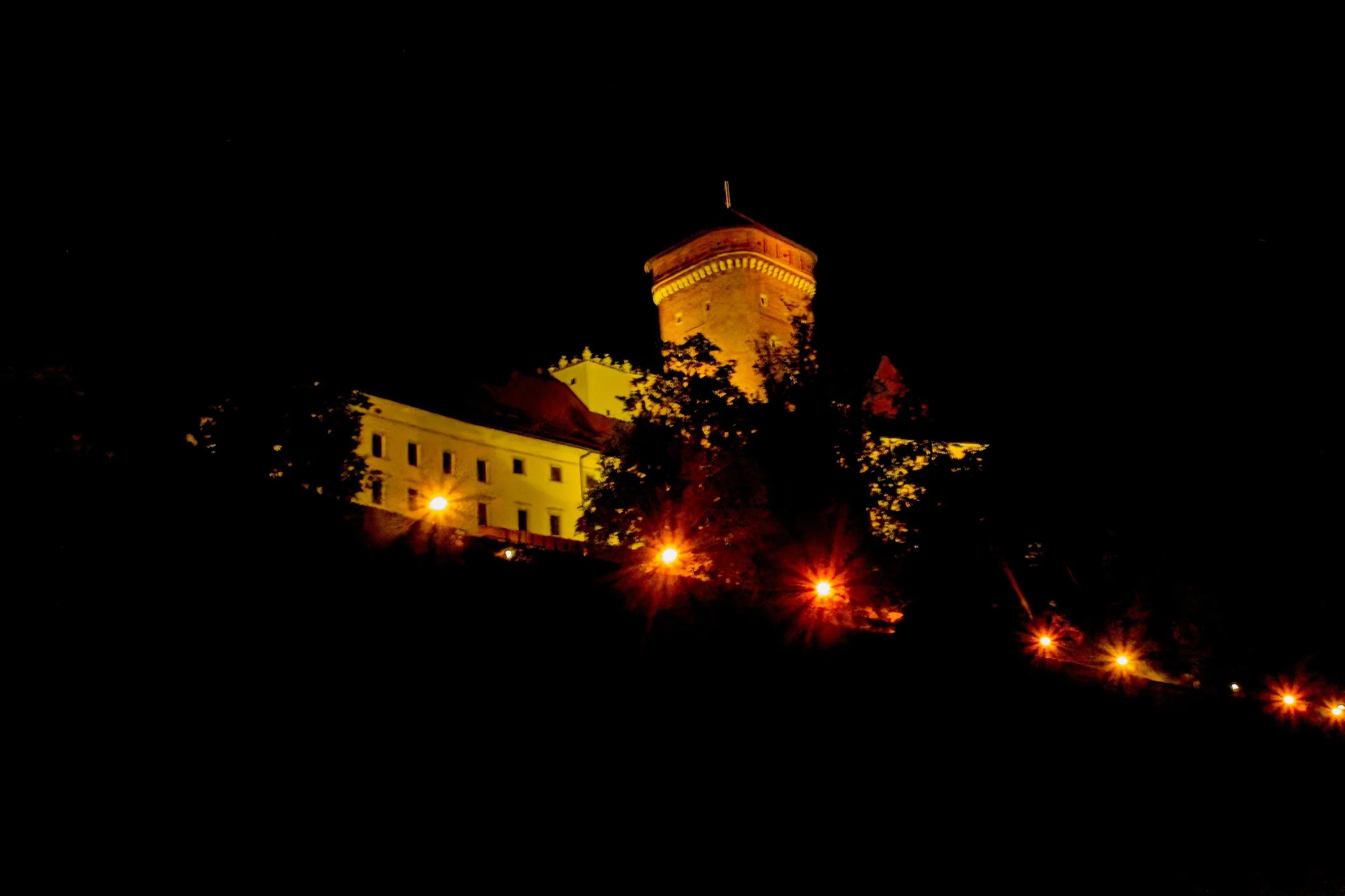 P9020233.jpg