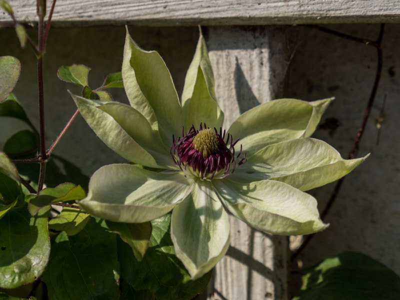 p4102238.jpg