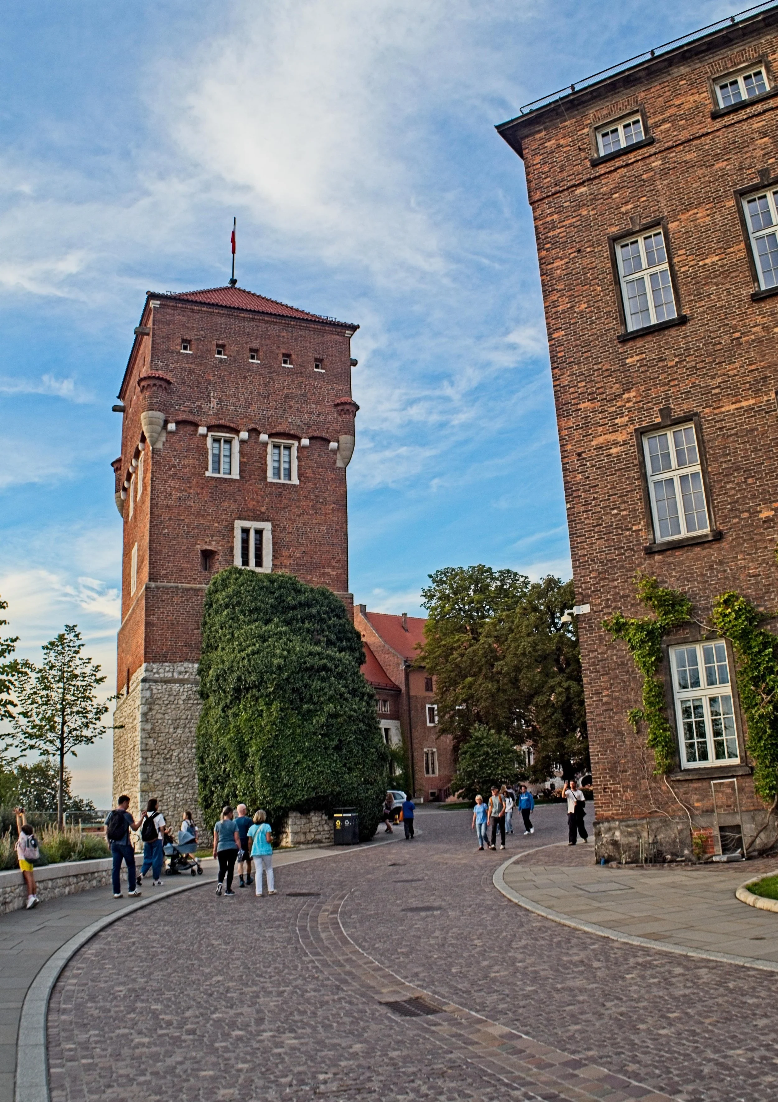 P9020183.jpg