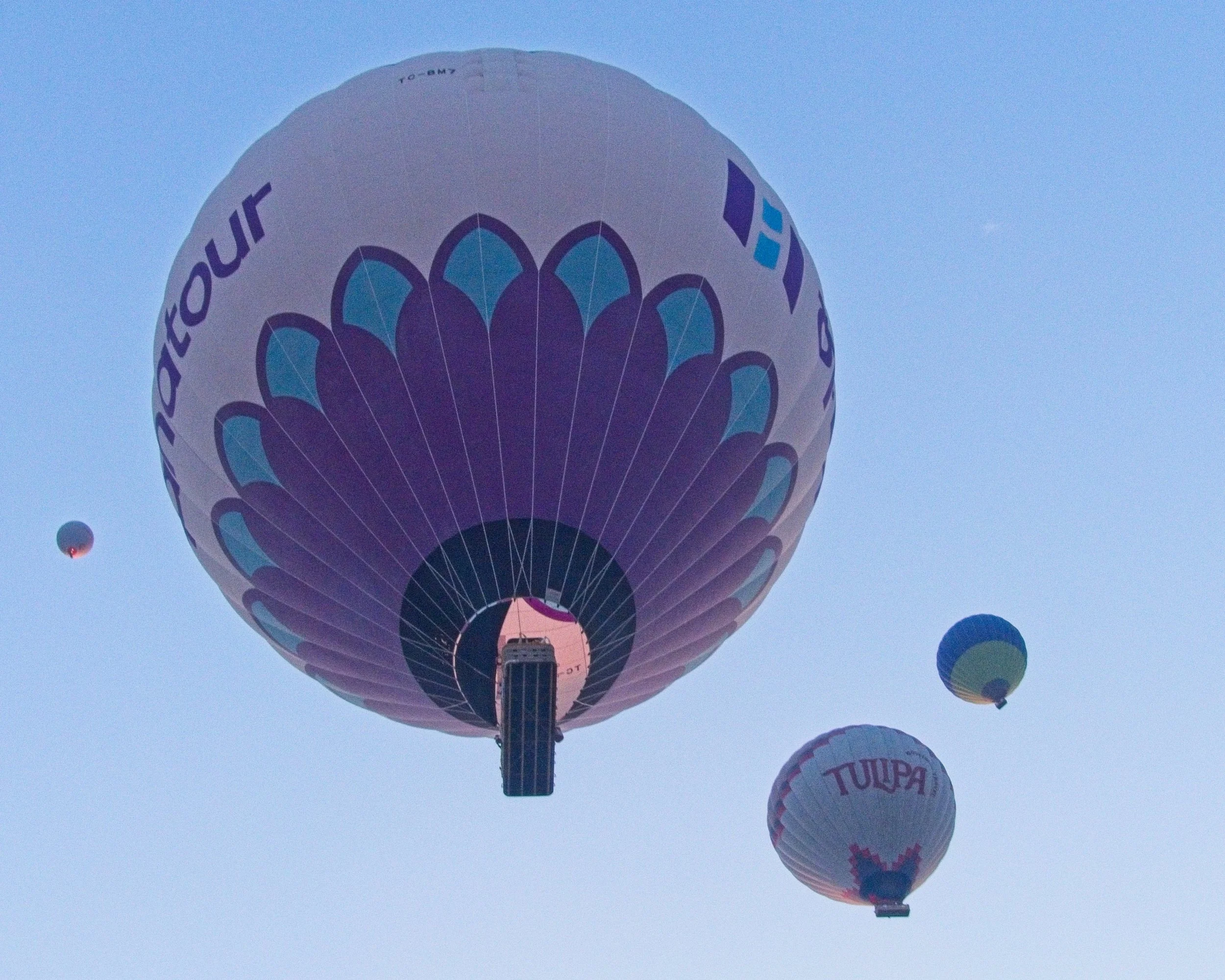 P1110364.jpg