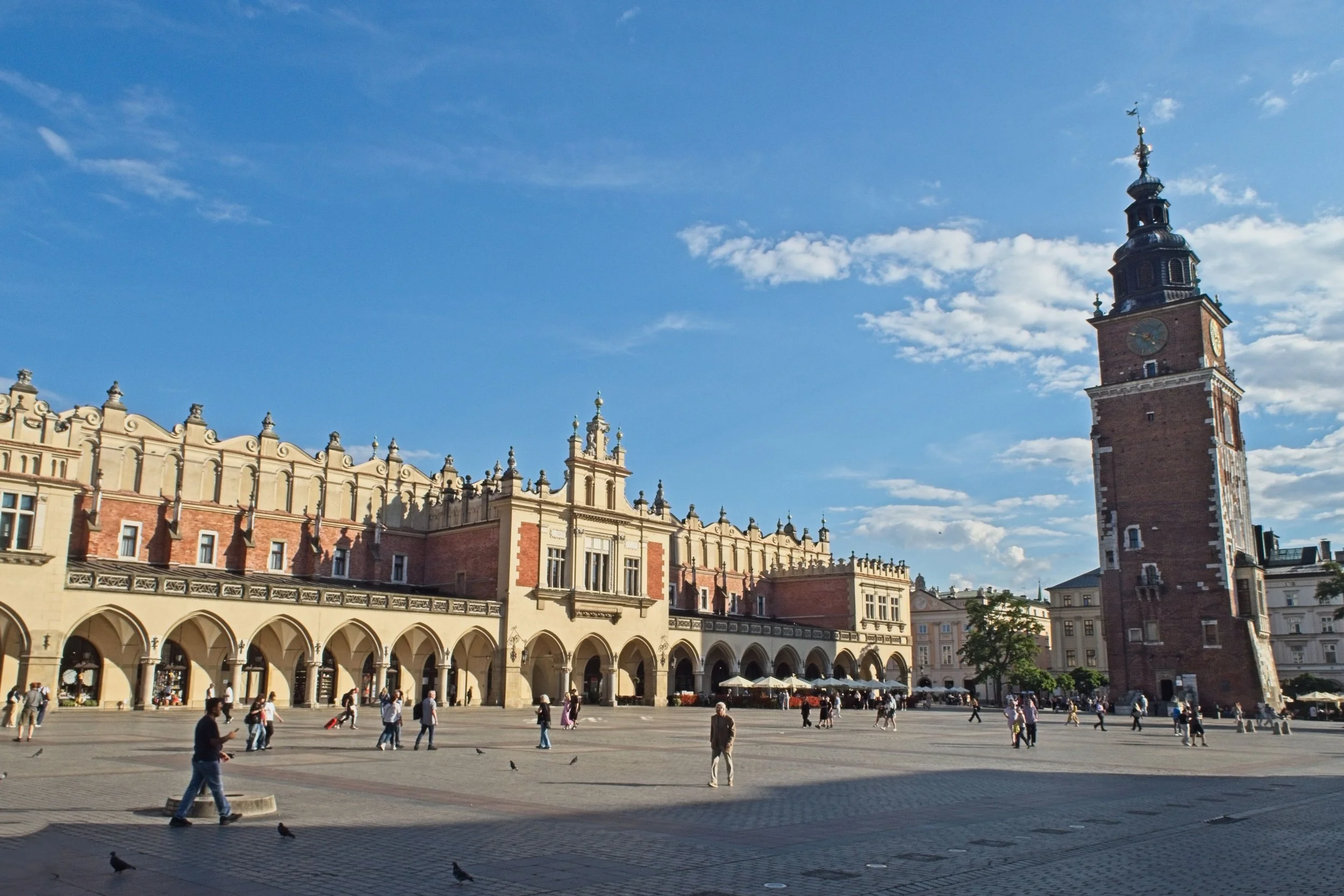 P9010041.jpg