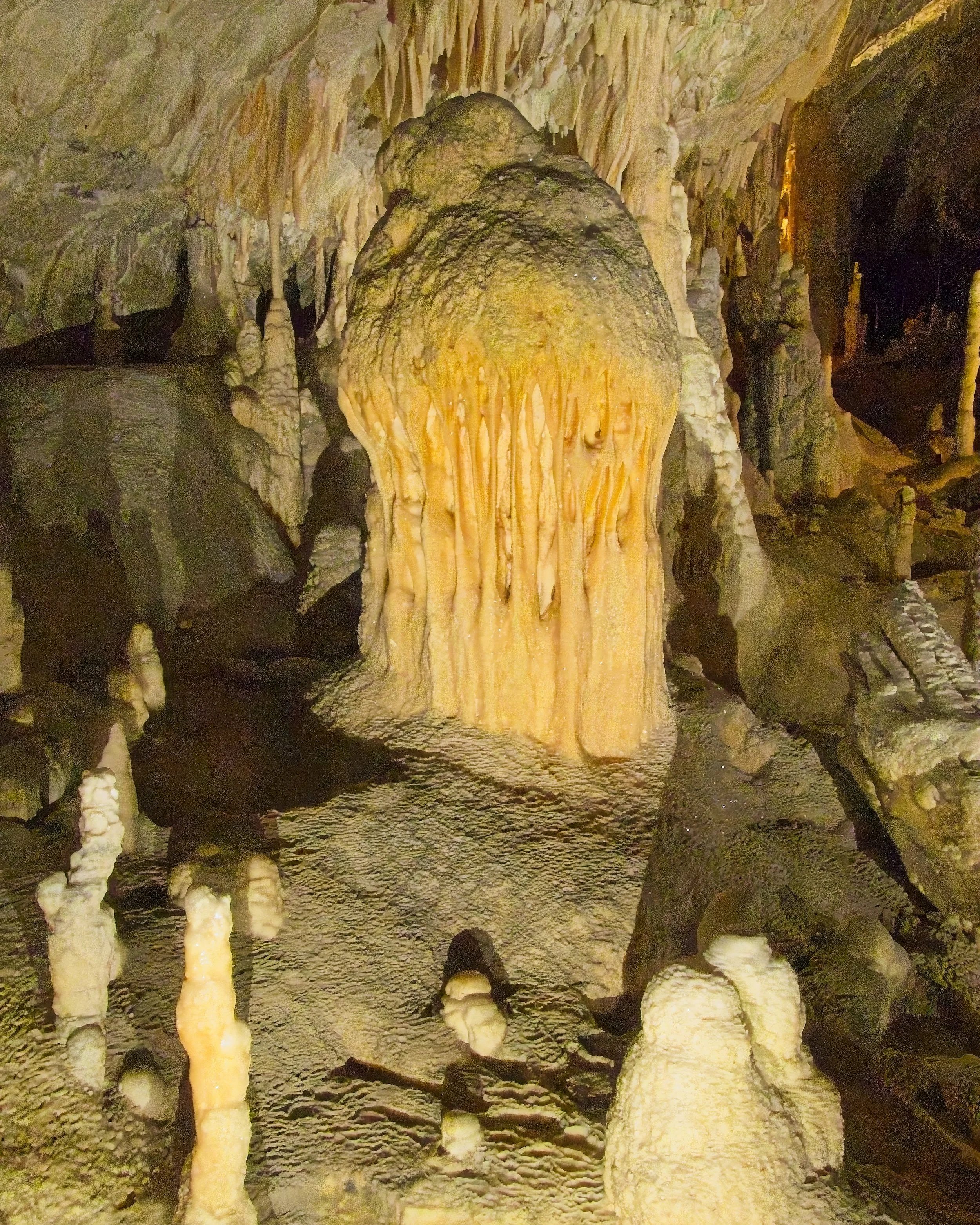 P1100021.jpg