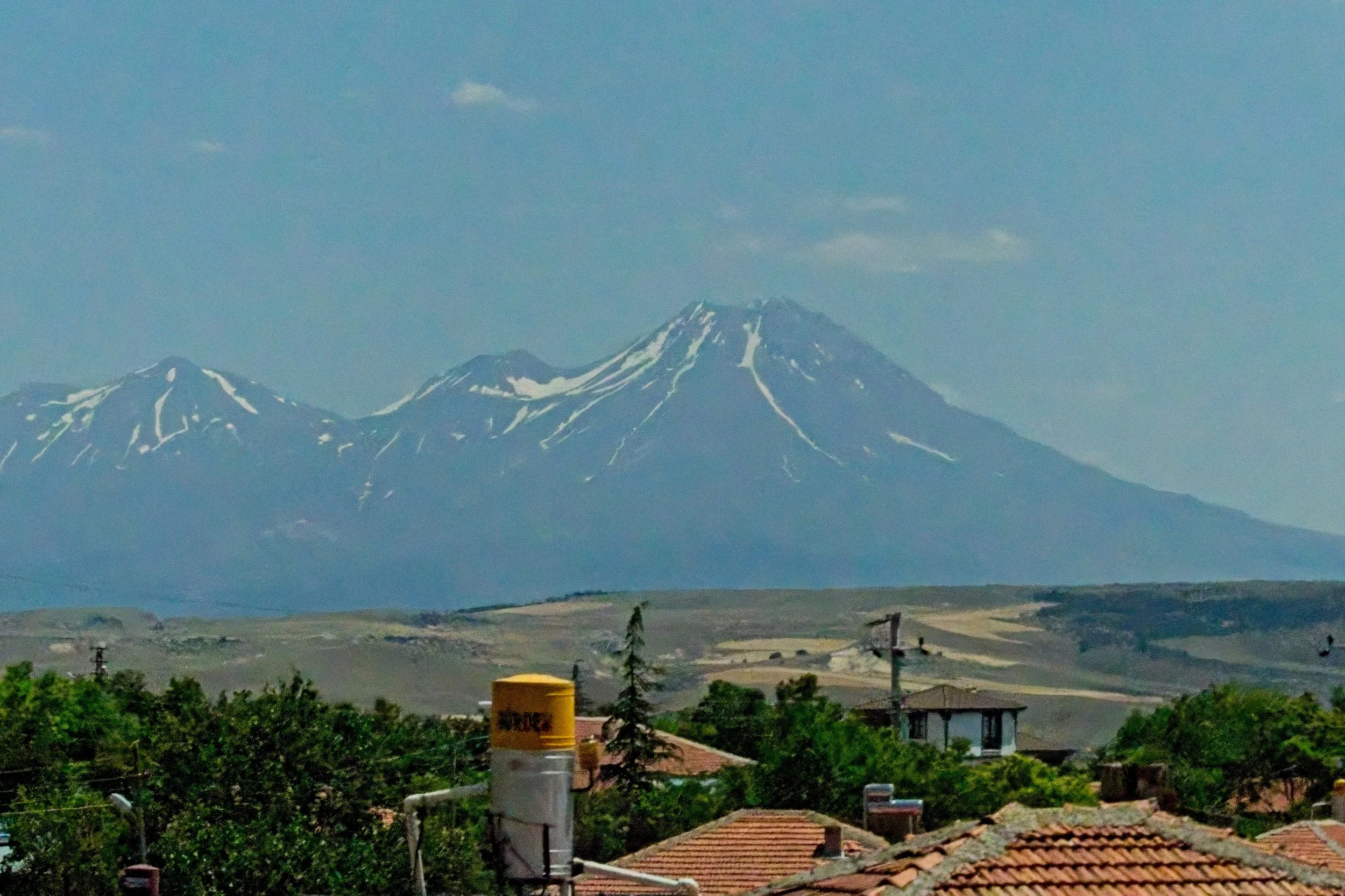 P1110259.jpg