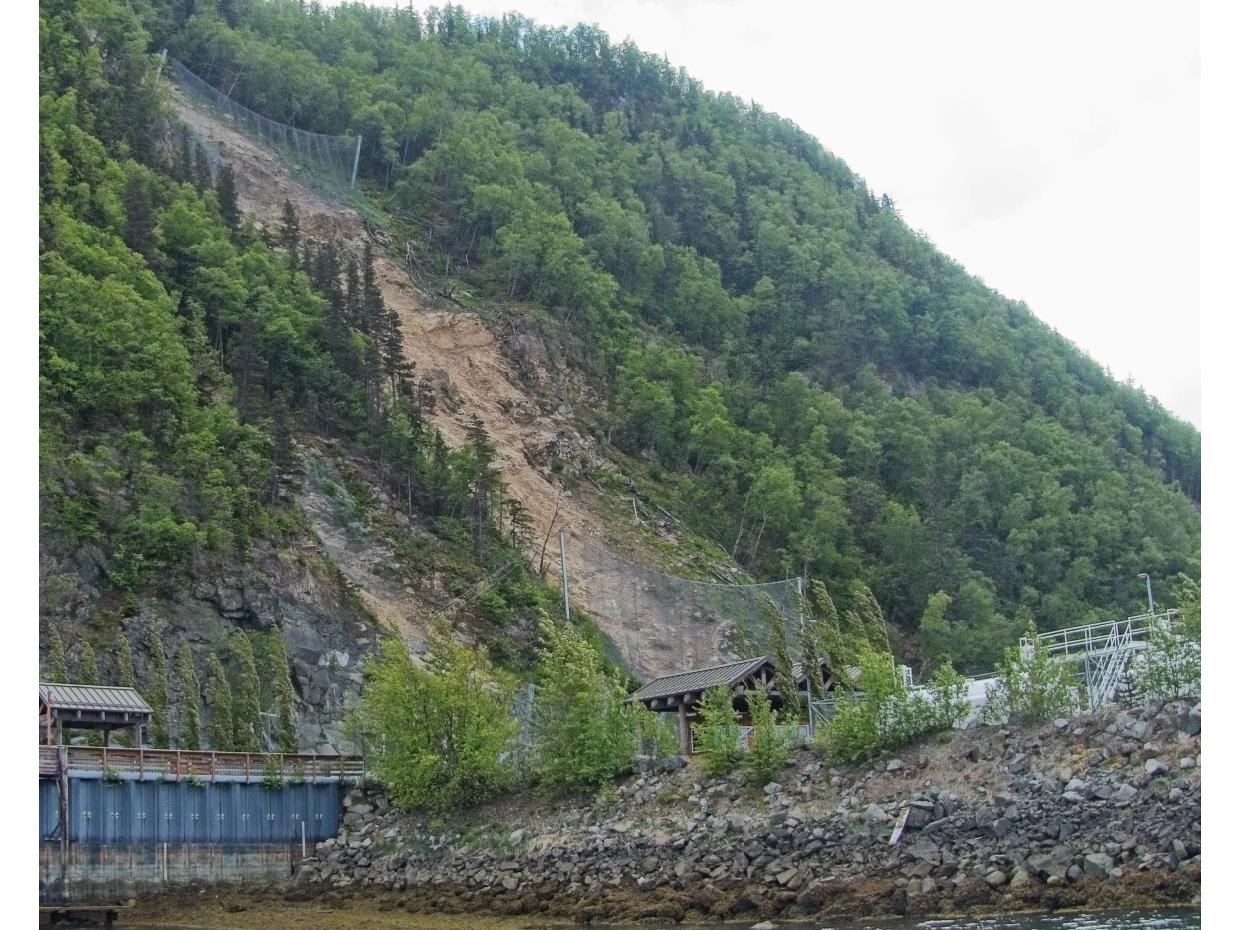 P1080795.jpg