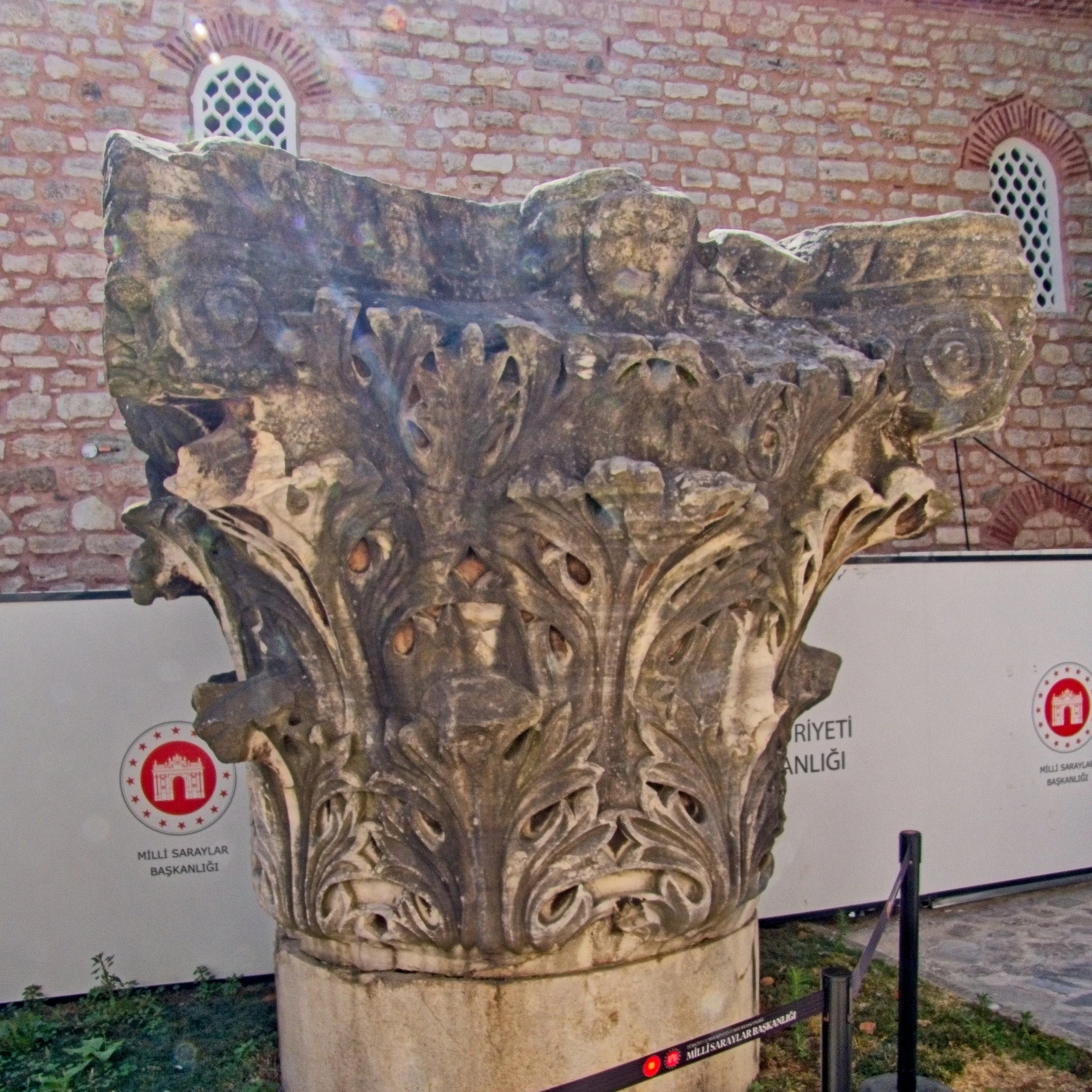 P1100629.jpg