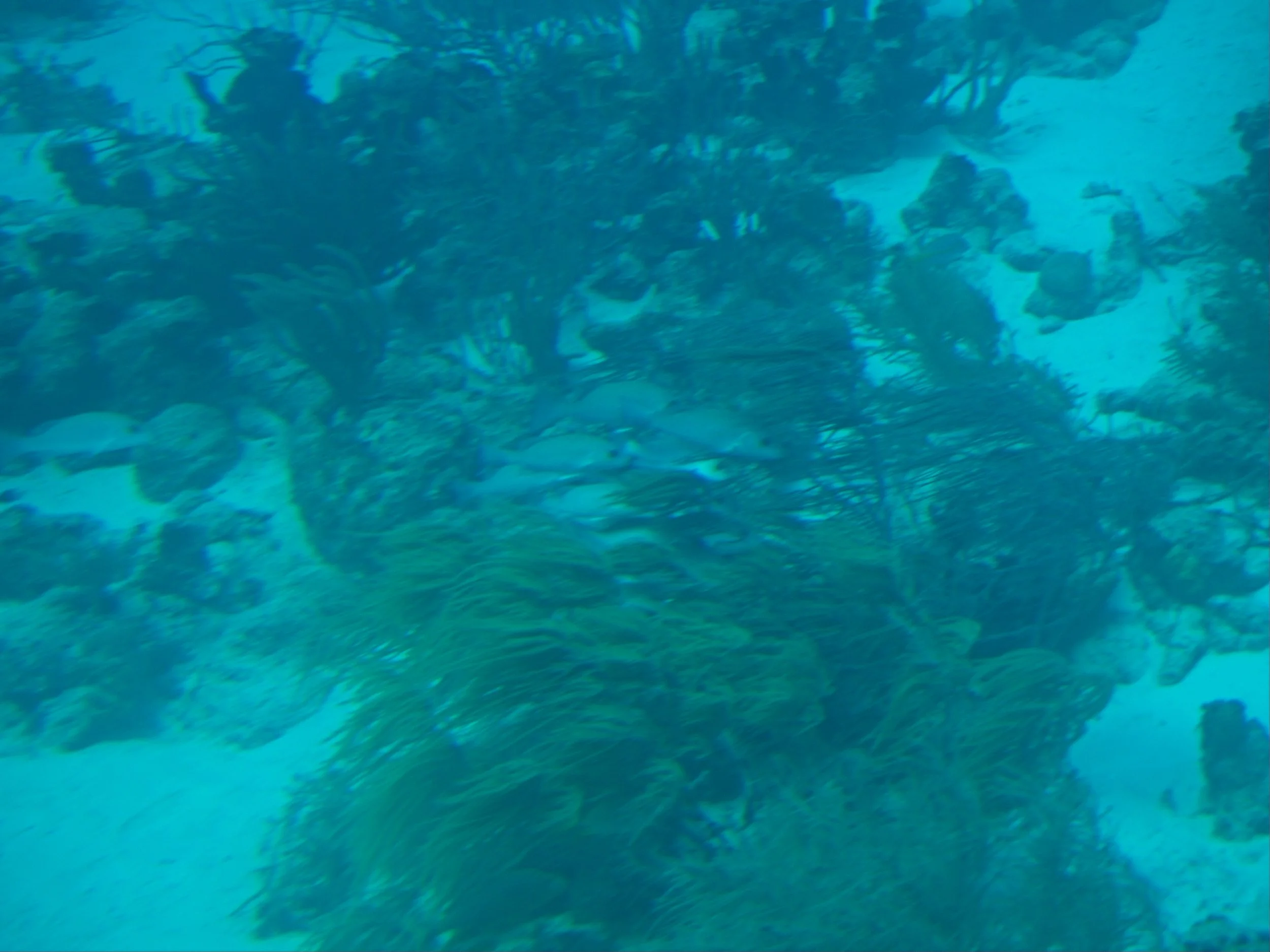 PC140028.jpg
