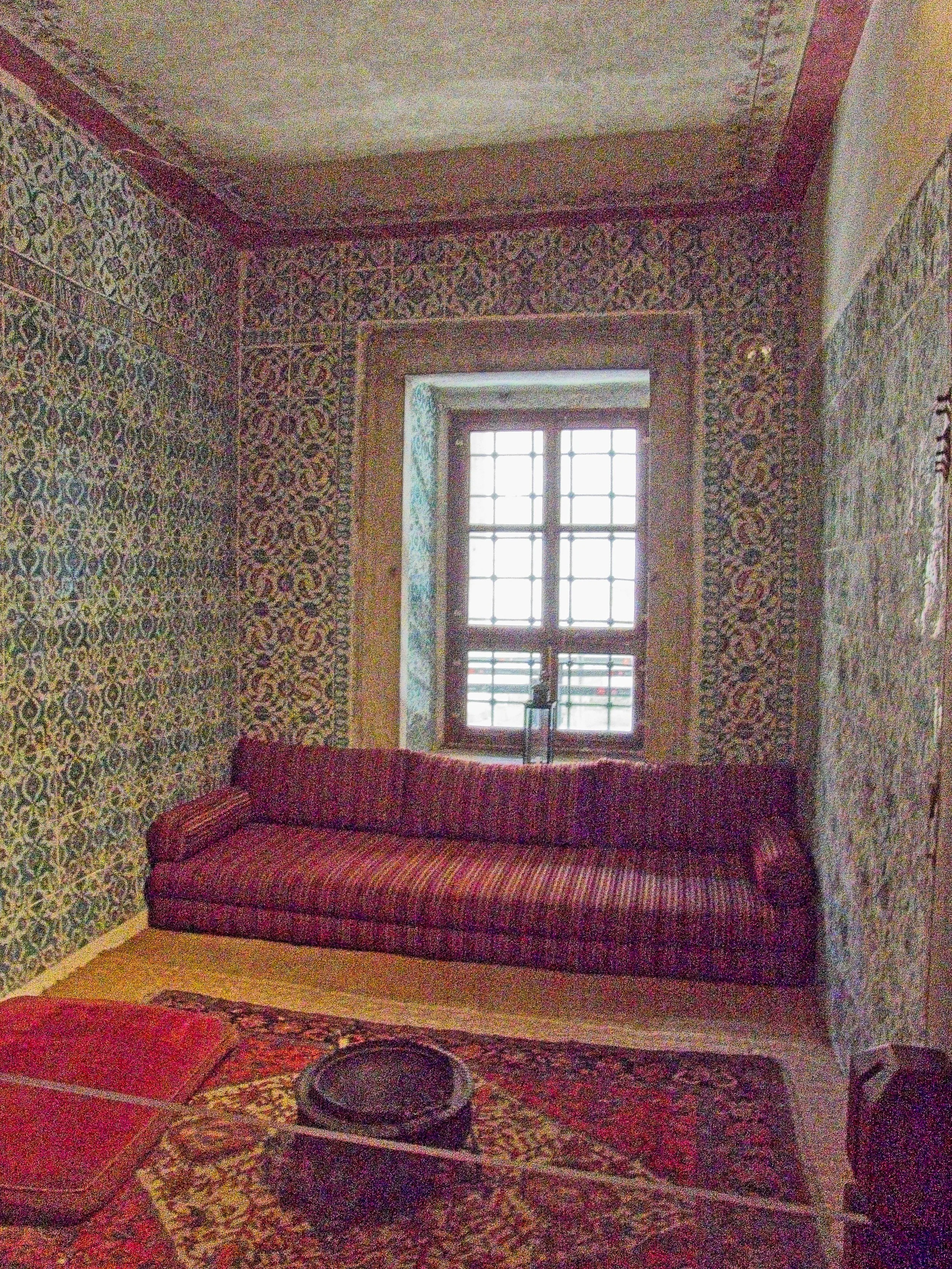 P1100675.jpg
