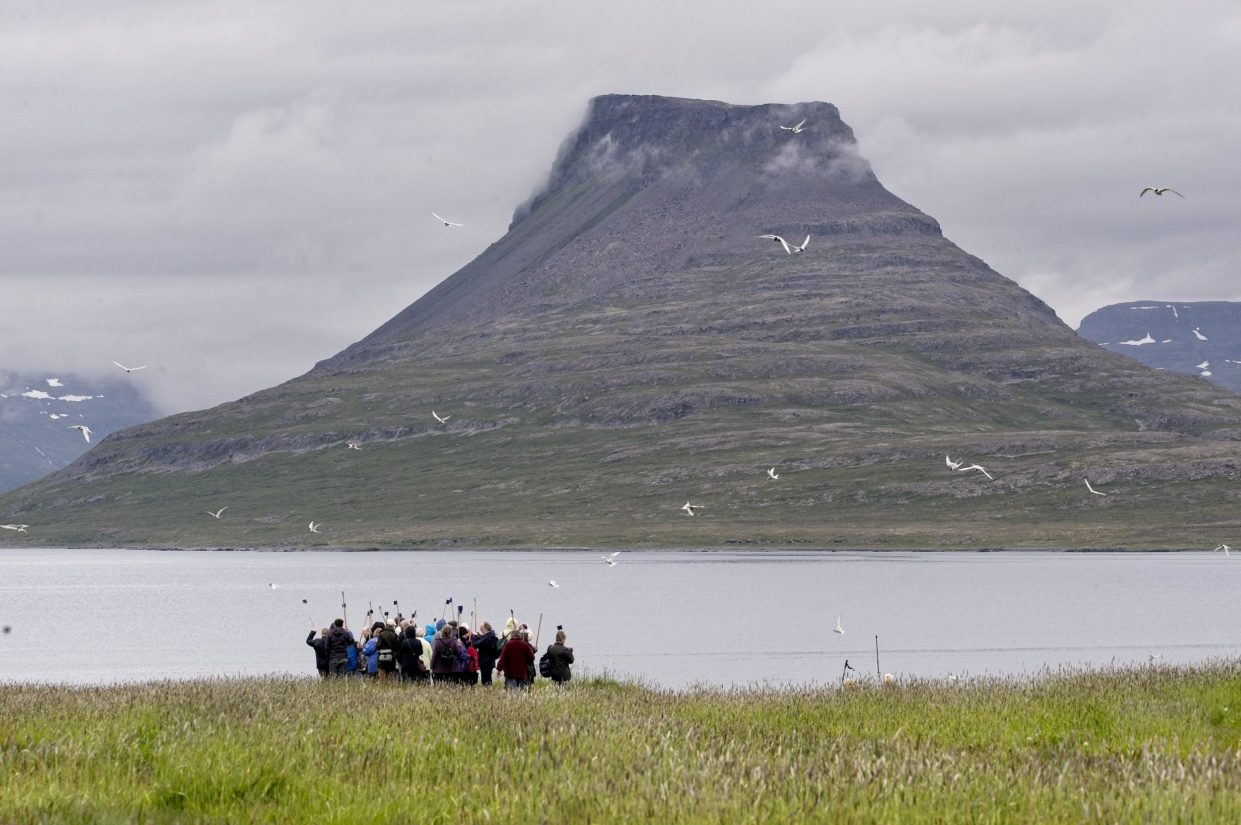 DSC_0233.jpg