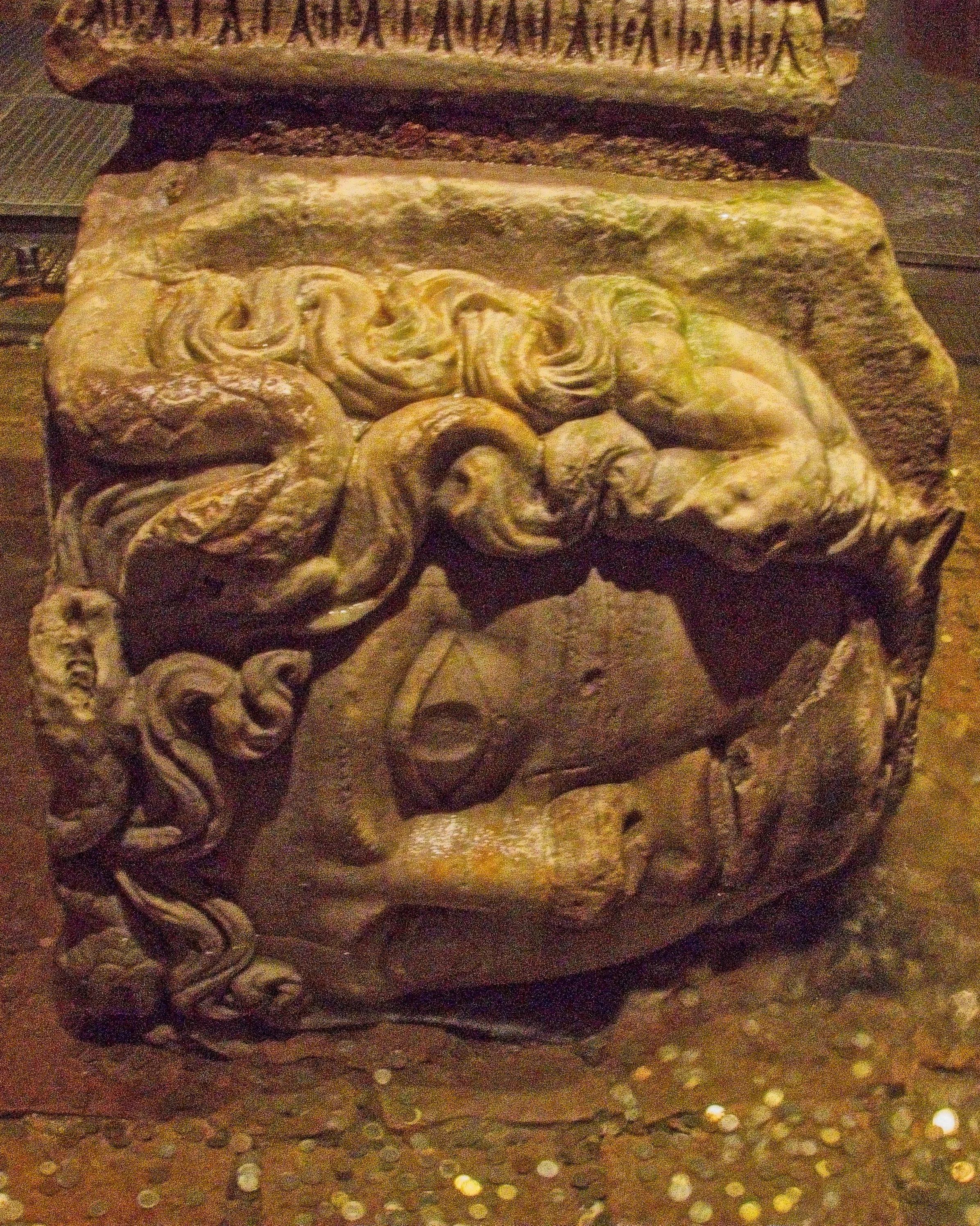 P1100530.jpg