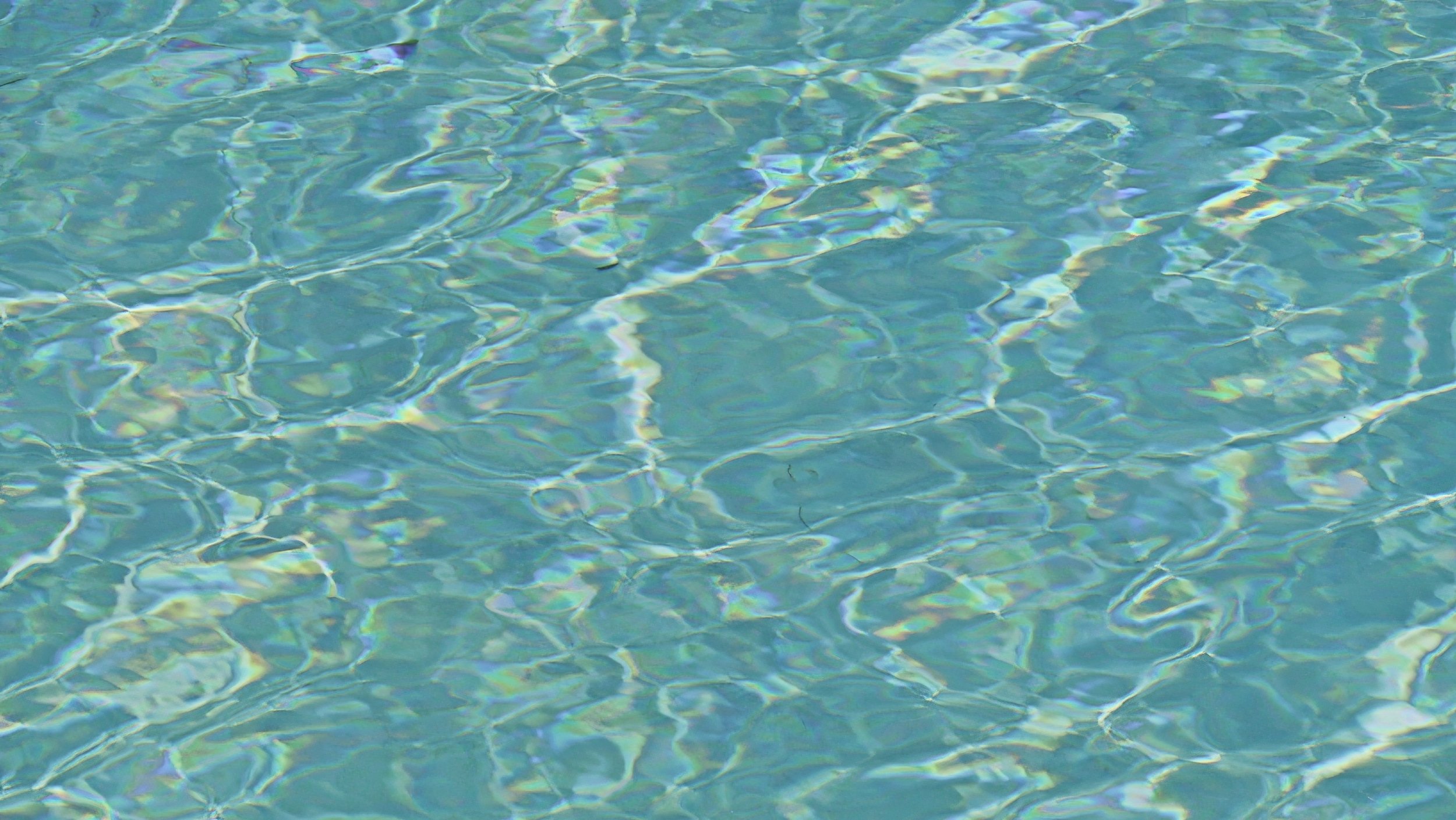 _1040365.jpg