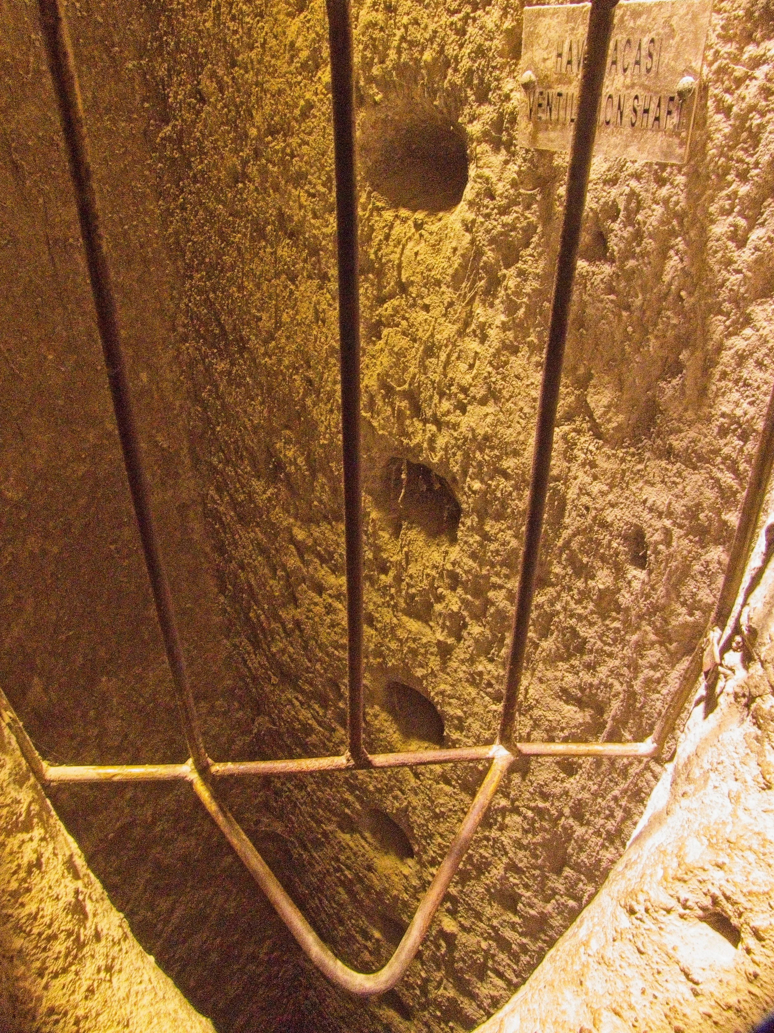 P1110274.jpg