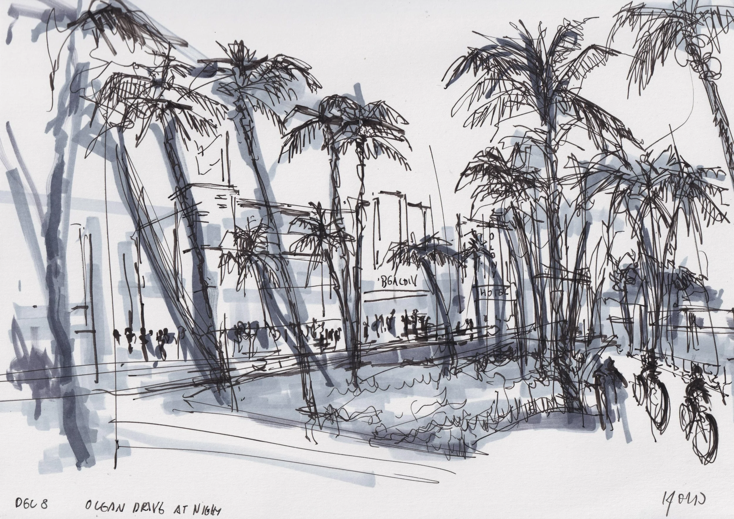 Miami Palm Trees
