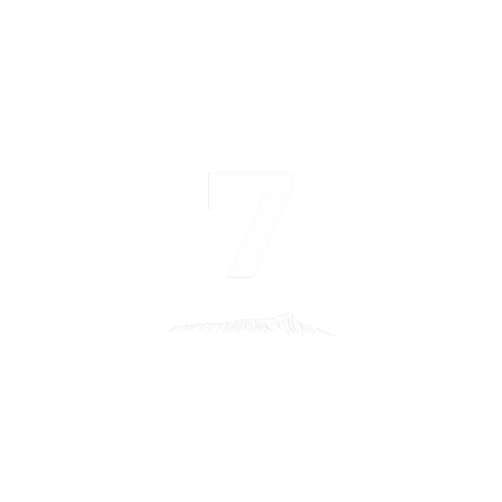 STUDIO 7 HAWAII