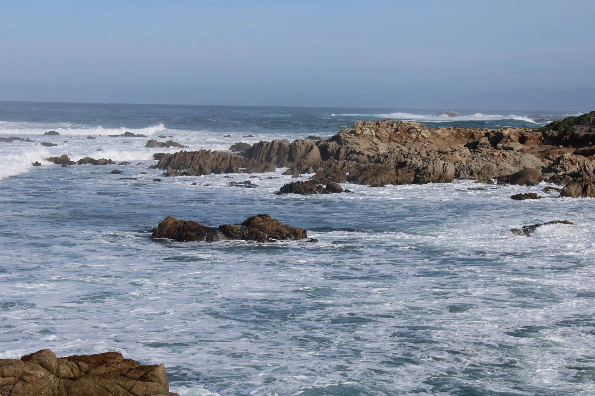 IMG_2486.JPG