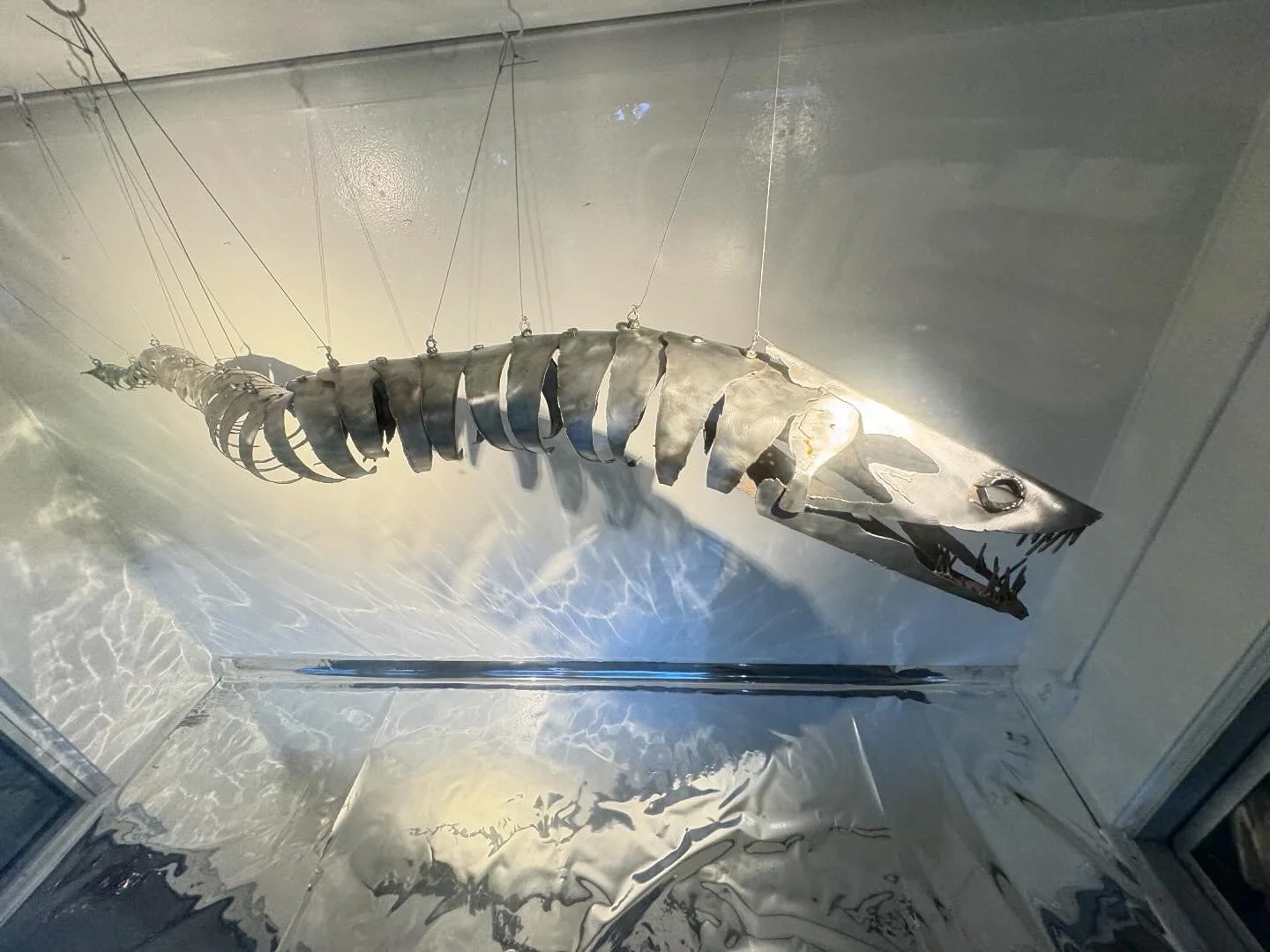 Steel Eel