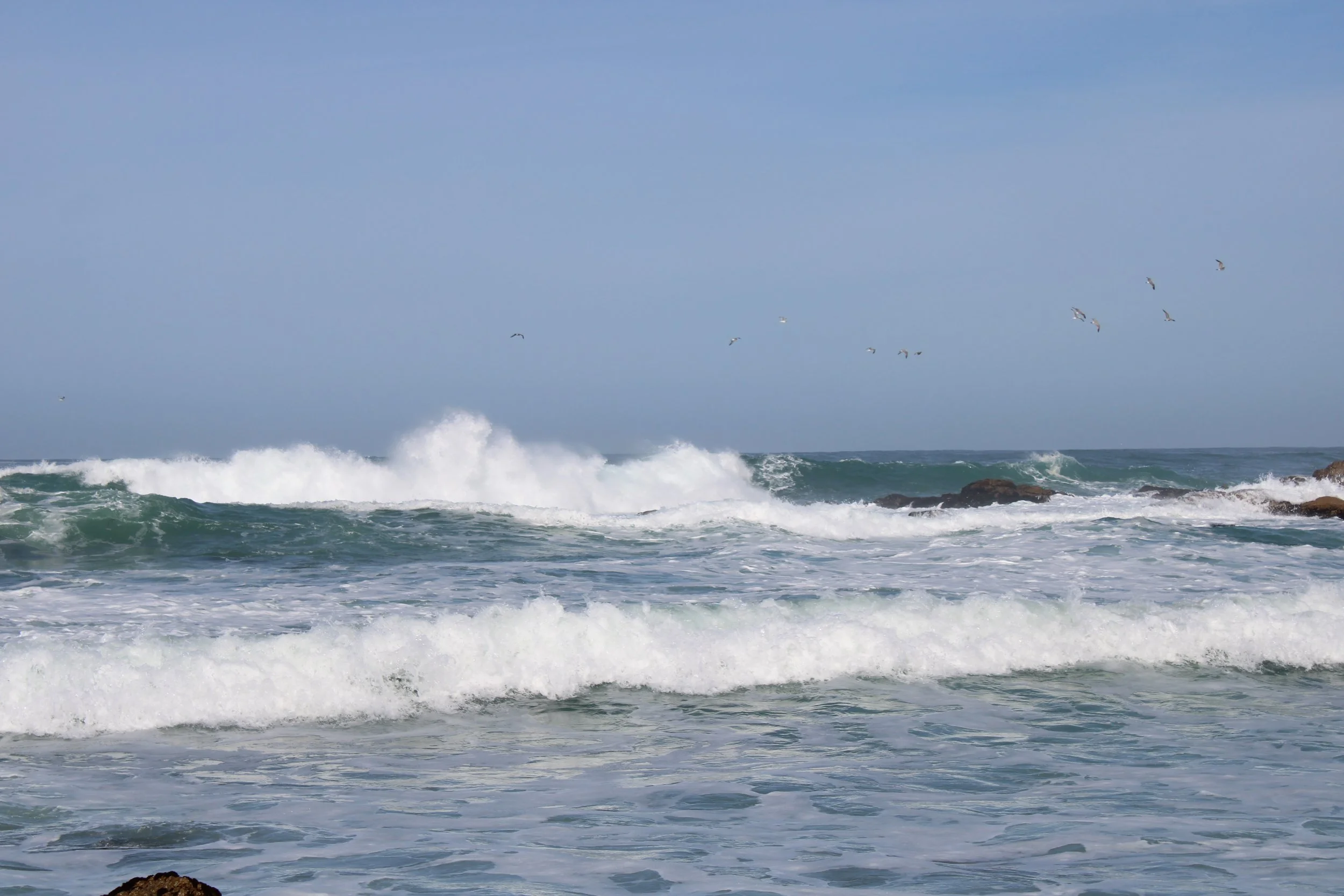 IMG_2514.JPG