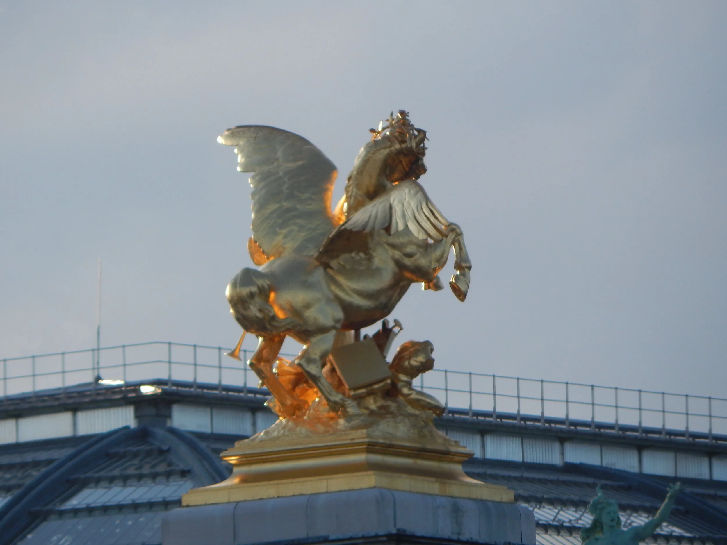 DSCN1041.jpg