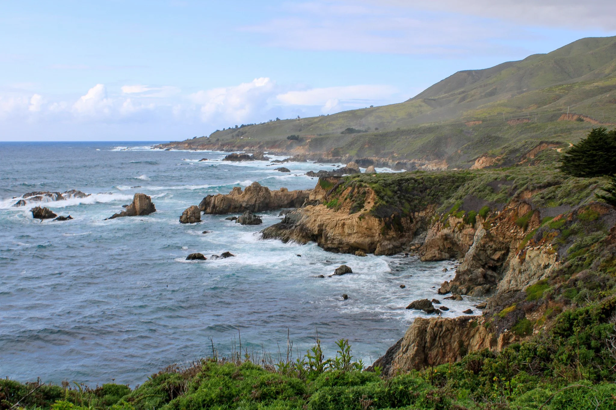_MG_3521.jpg