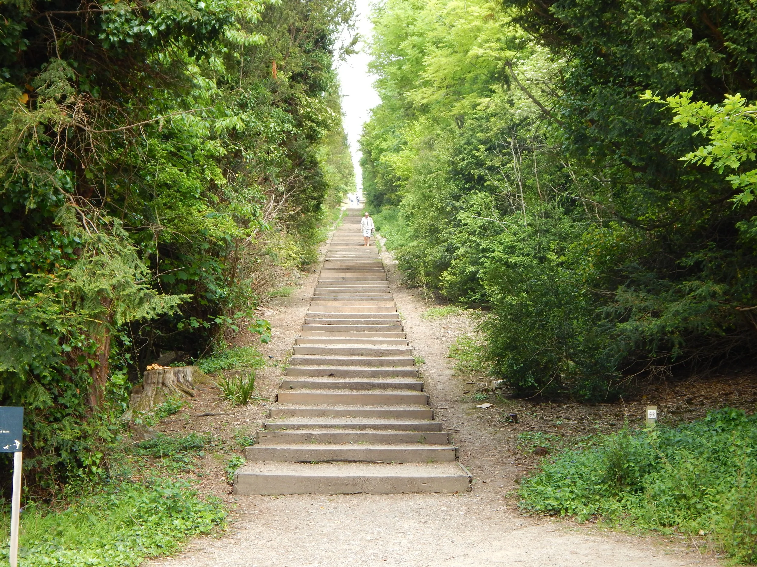 DSCN2390.JPG
