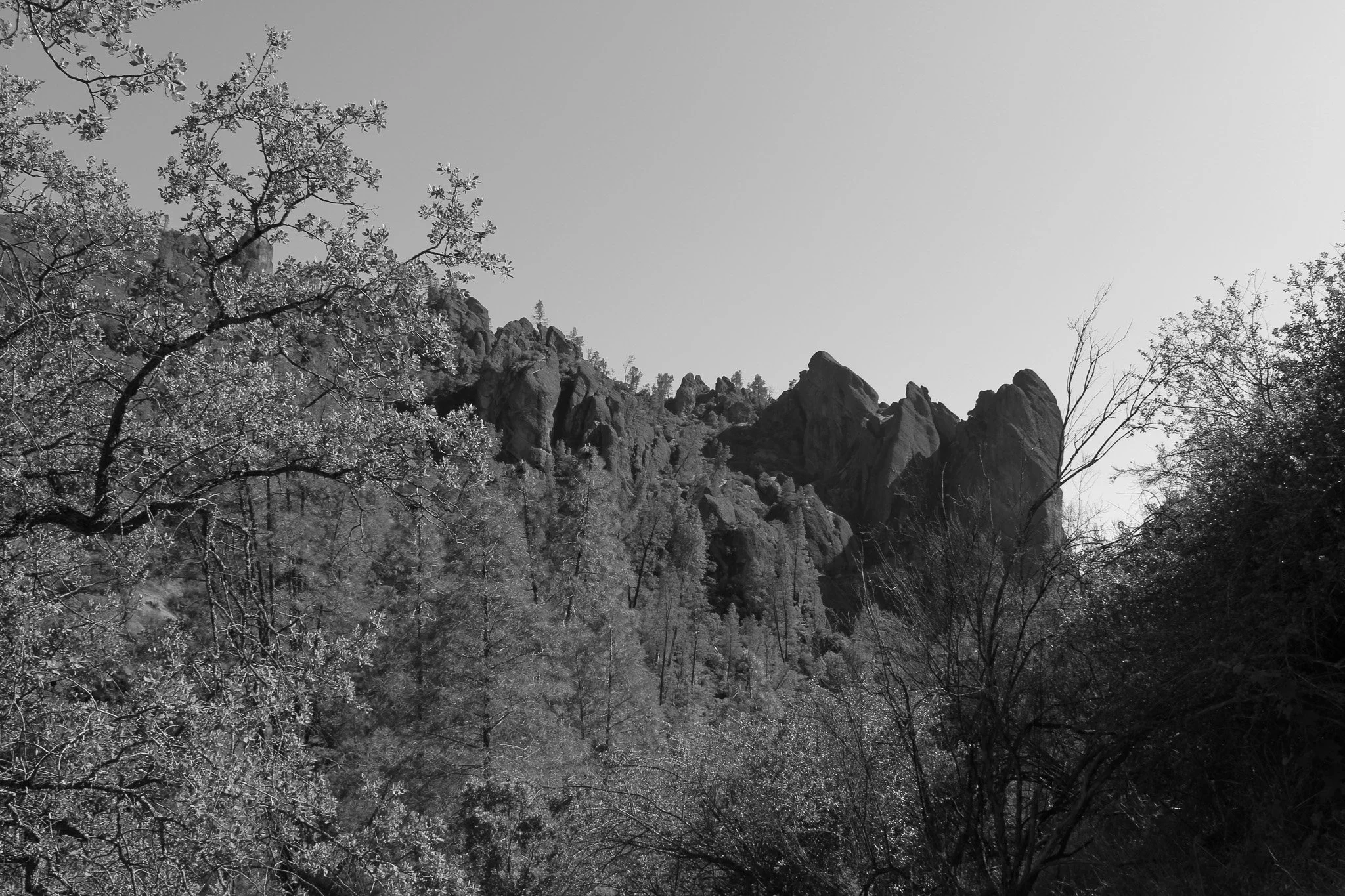 IMG_3799.jpg