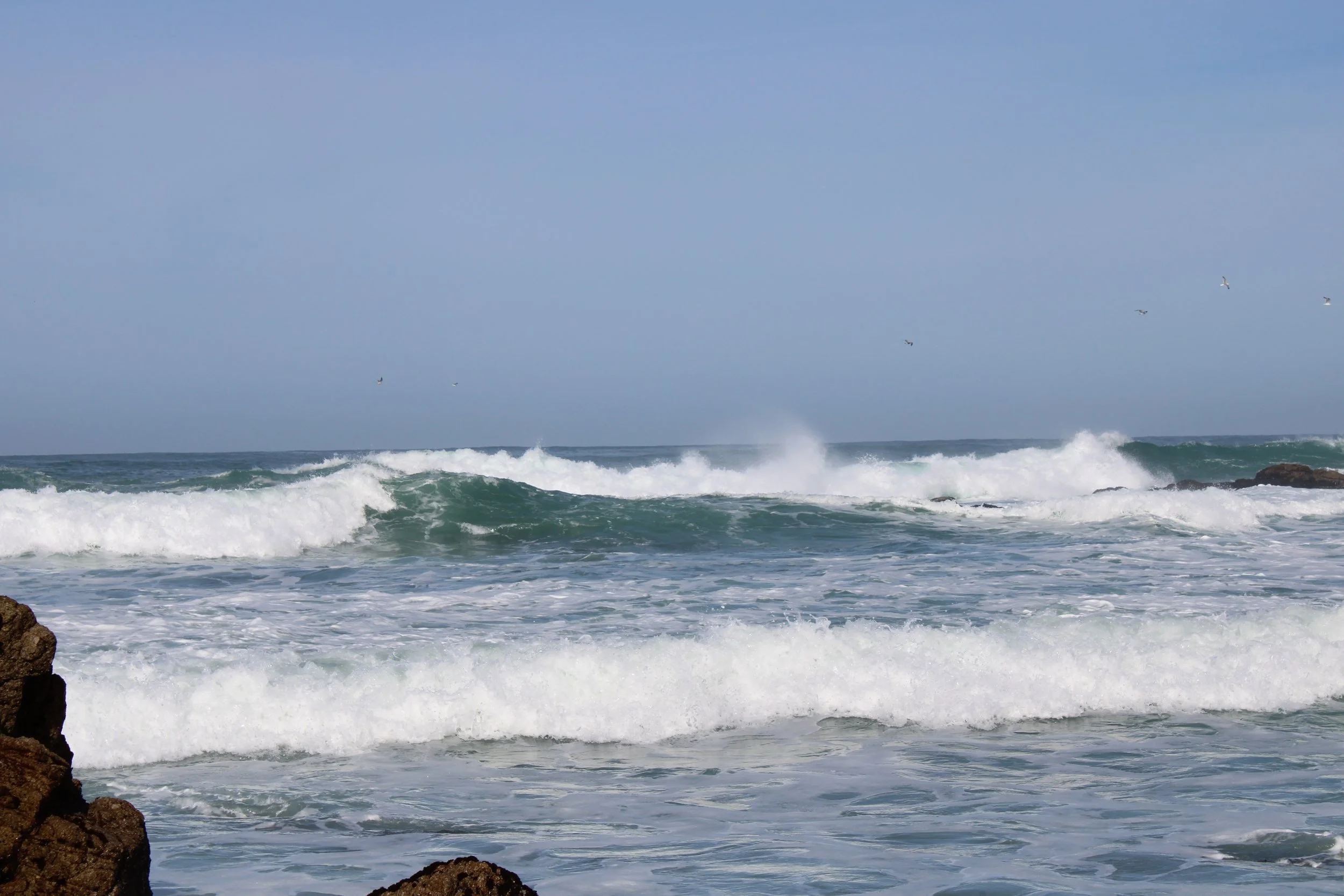 IMG_2515.JPG