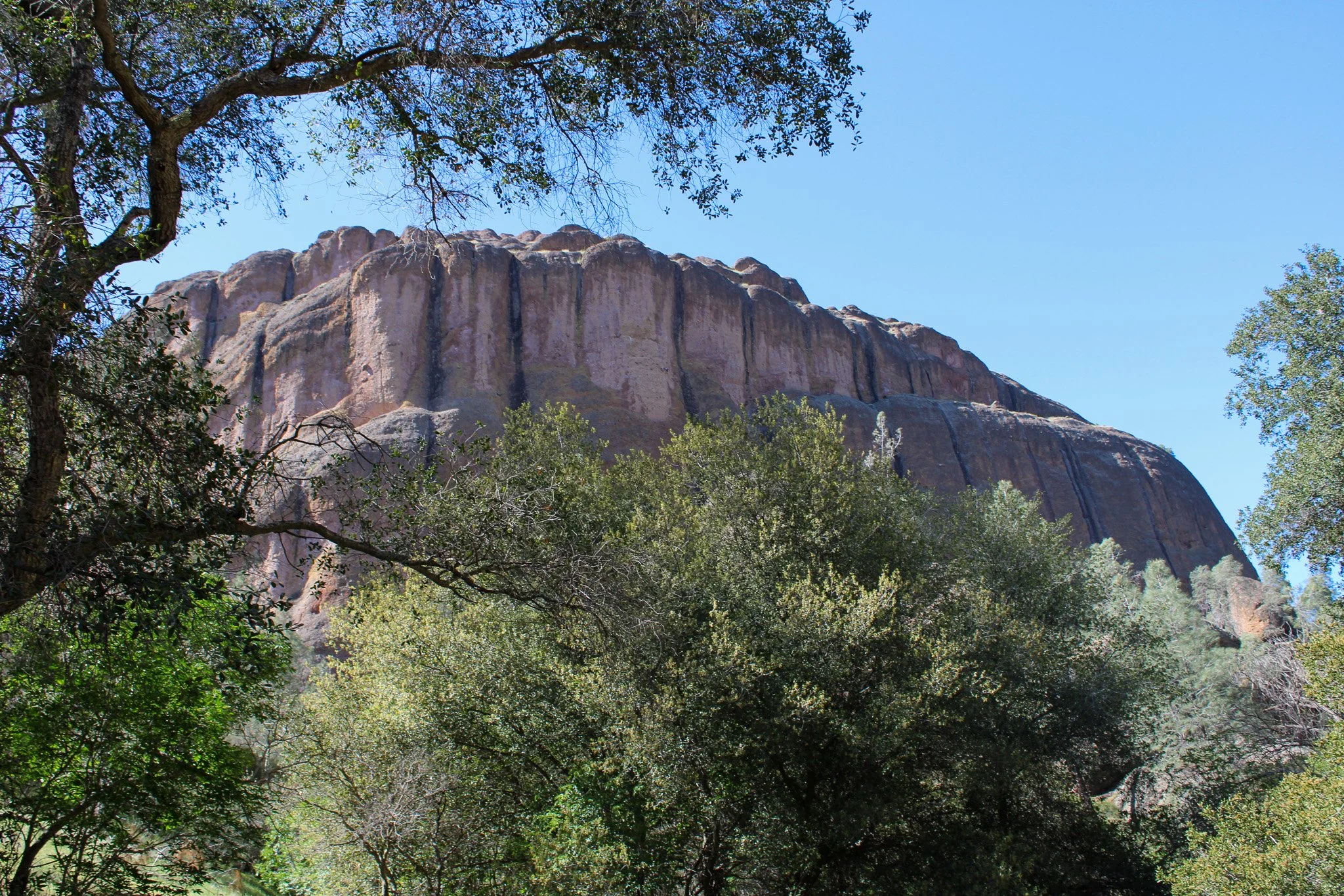 IMG_3733.jpg