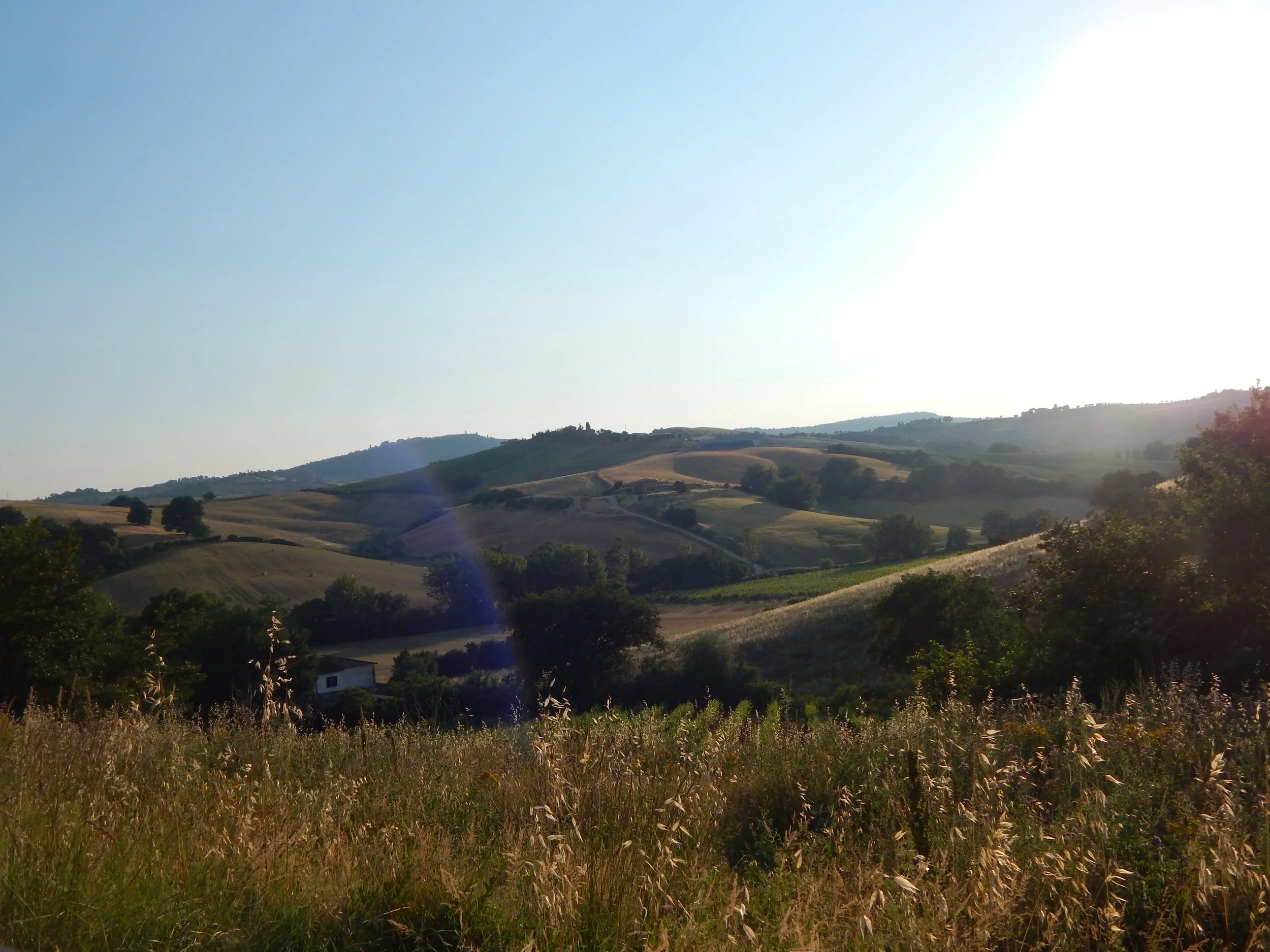 DSCN1822.jpg