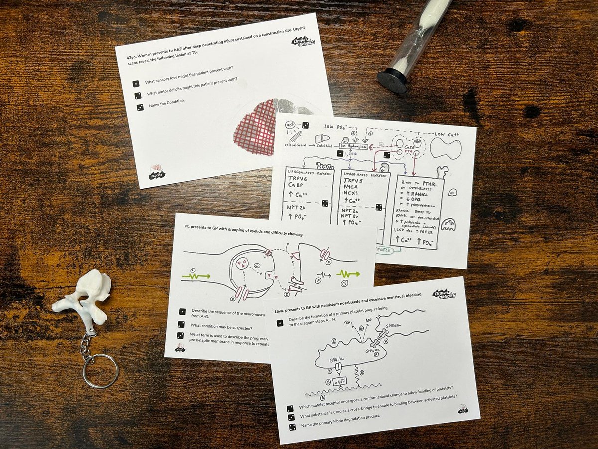 Phase I Study Cards 02.jpeg
