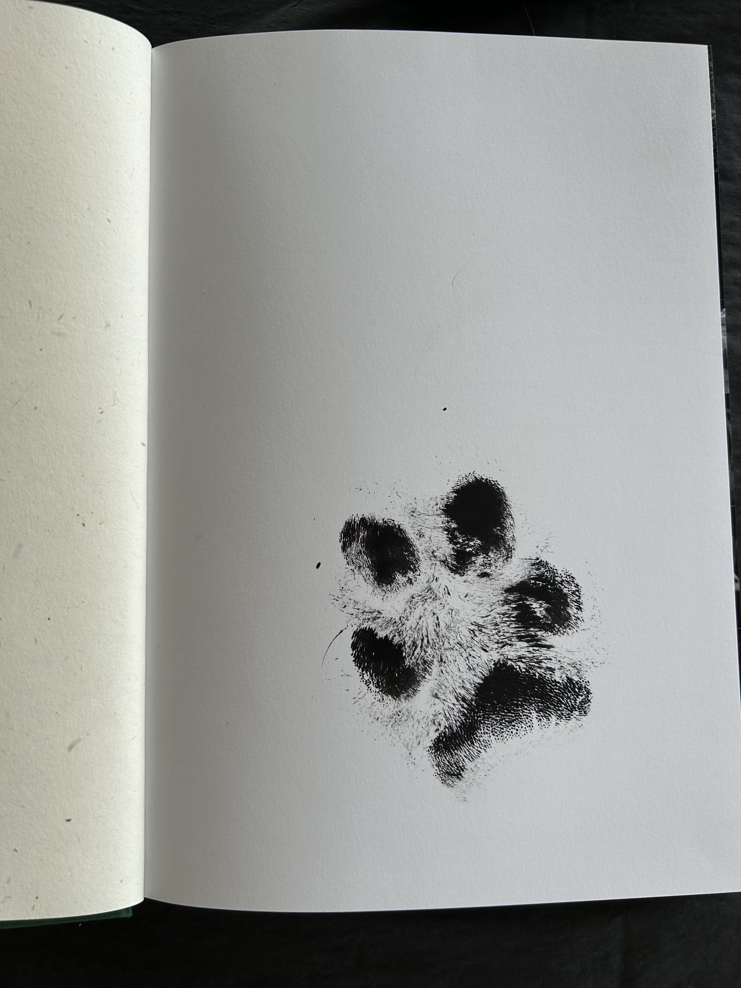 Becoming Pictures – Signed copy