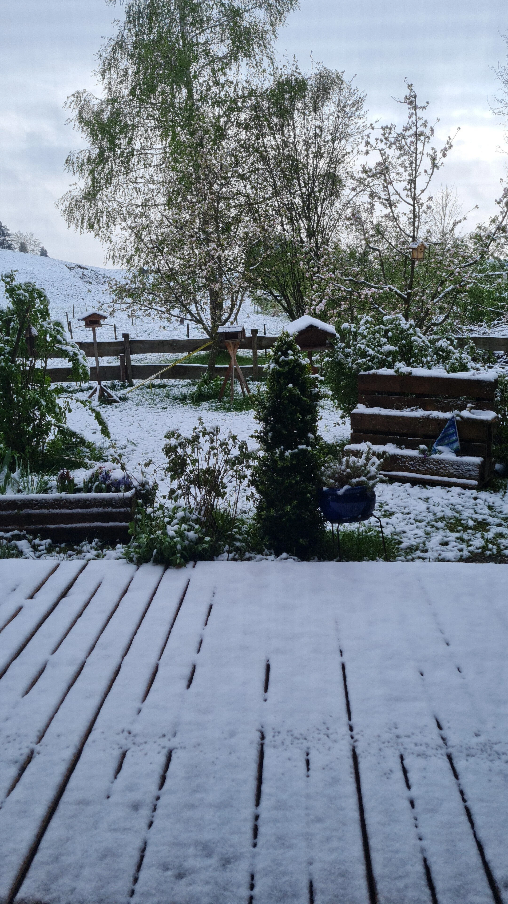 IMG-20240418-WA0000.jpeg