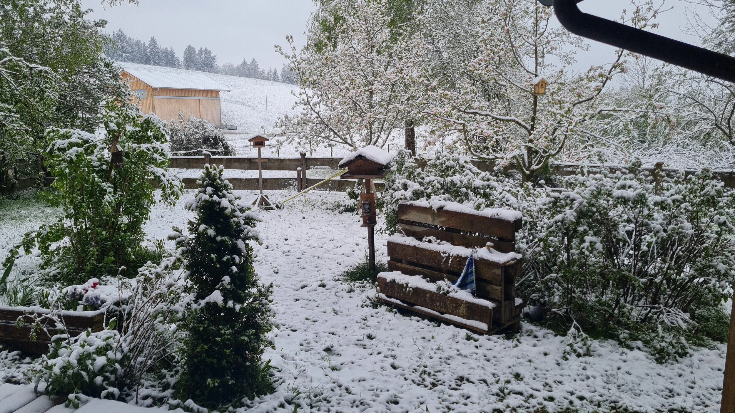 IMG-20240423-WA0000.jpeg