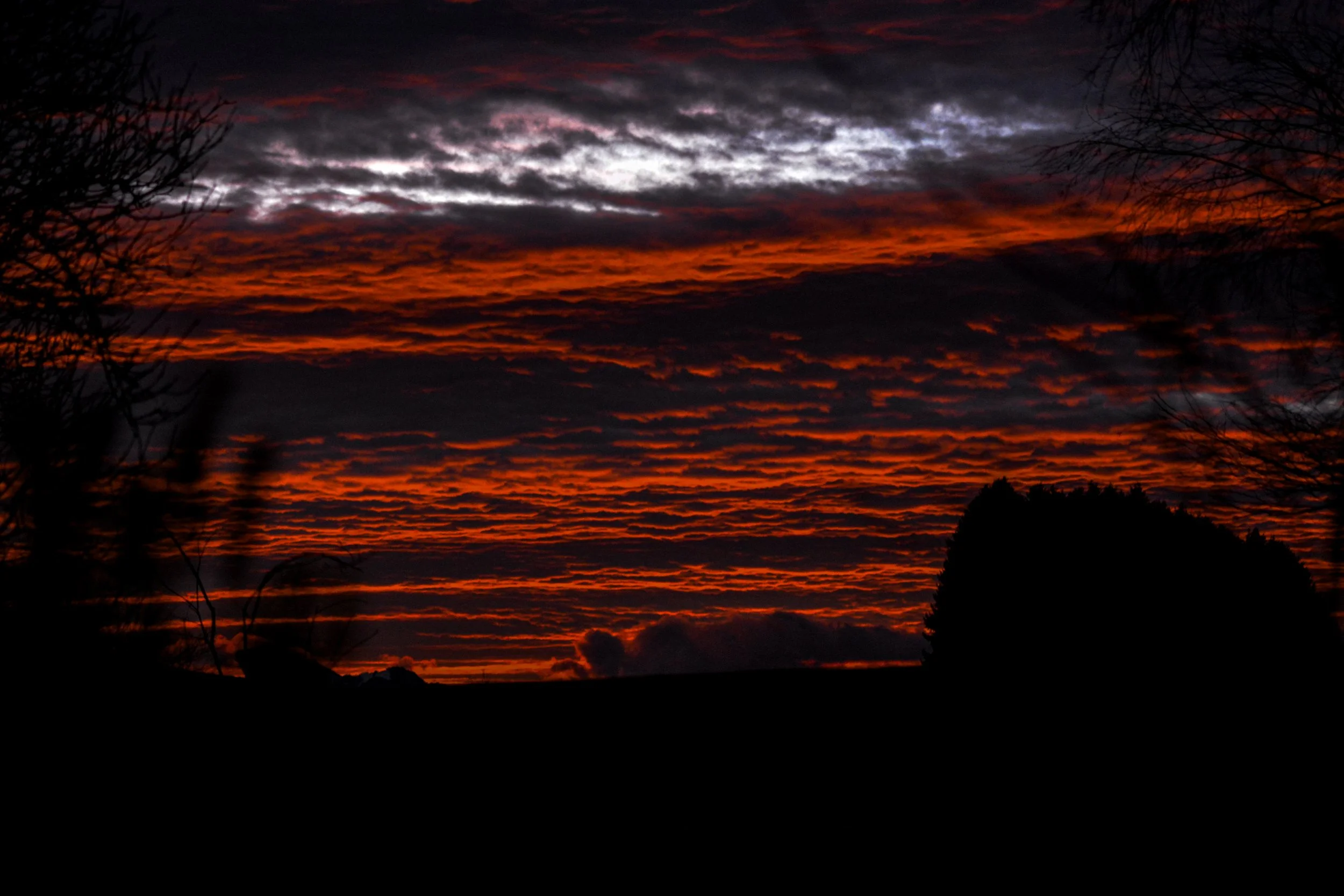 DSC_4055.jpg