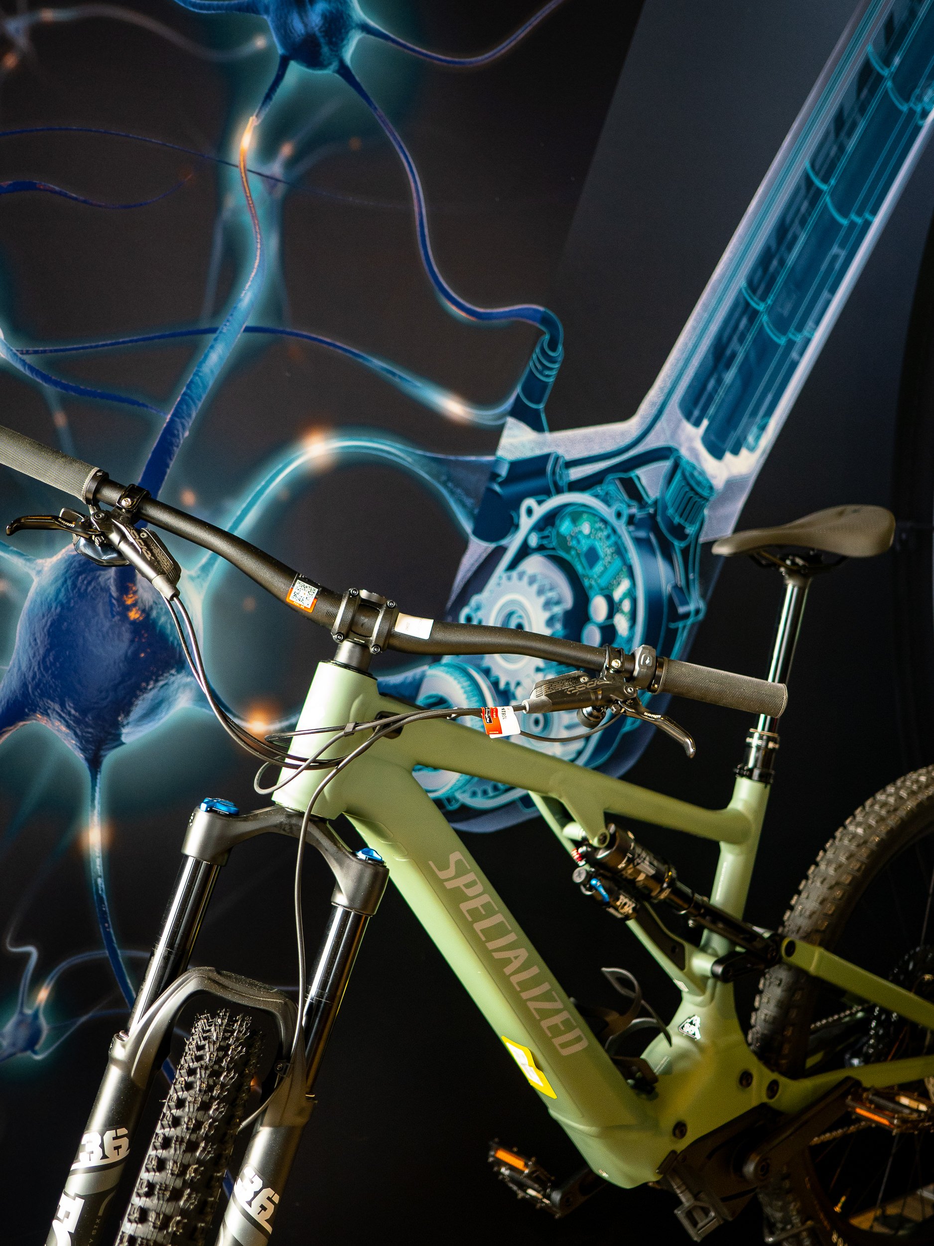 Velodrom Suche — Velodrom.at das Bikegeschäft in Wr. Neustadt