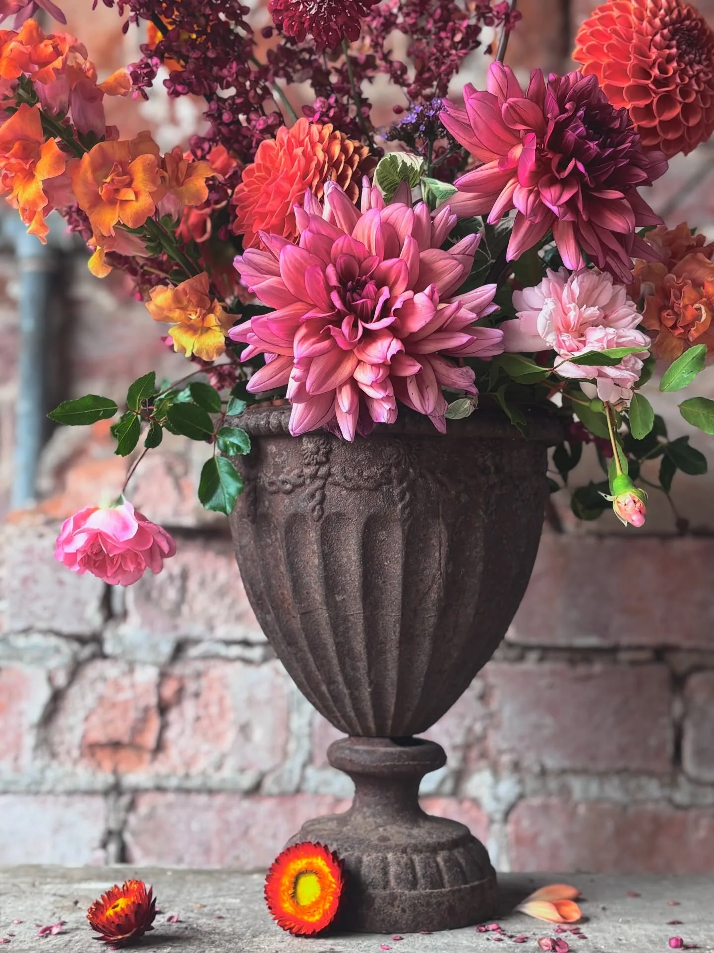 Welcome September. It&rsquo;s a favourite month for me, a clear line in the calendar - this year with a real and hot summer holiday behind us! Mounds of school and uni stuff is about to depart the house with its owners and time to think a little more