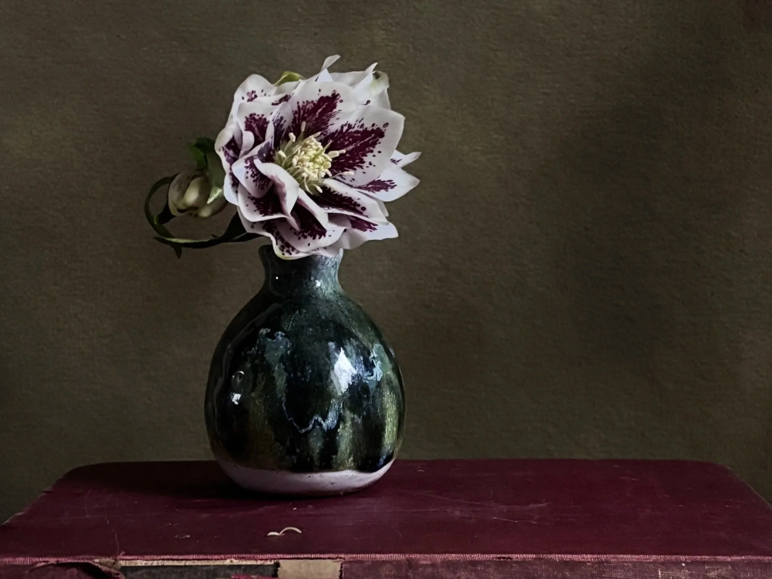 THOSE OF US THAT FLOWER; THE 2026  ANNUAL  GATHERING 