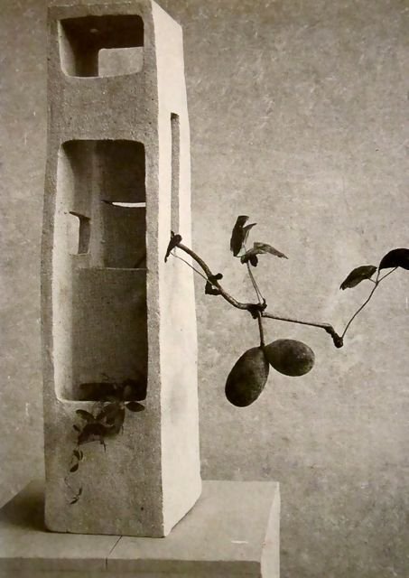 ikebana noguchi.jpeg